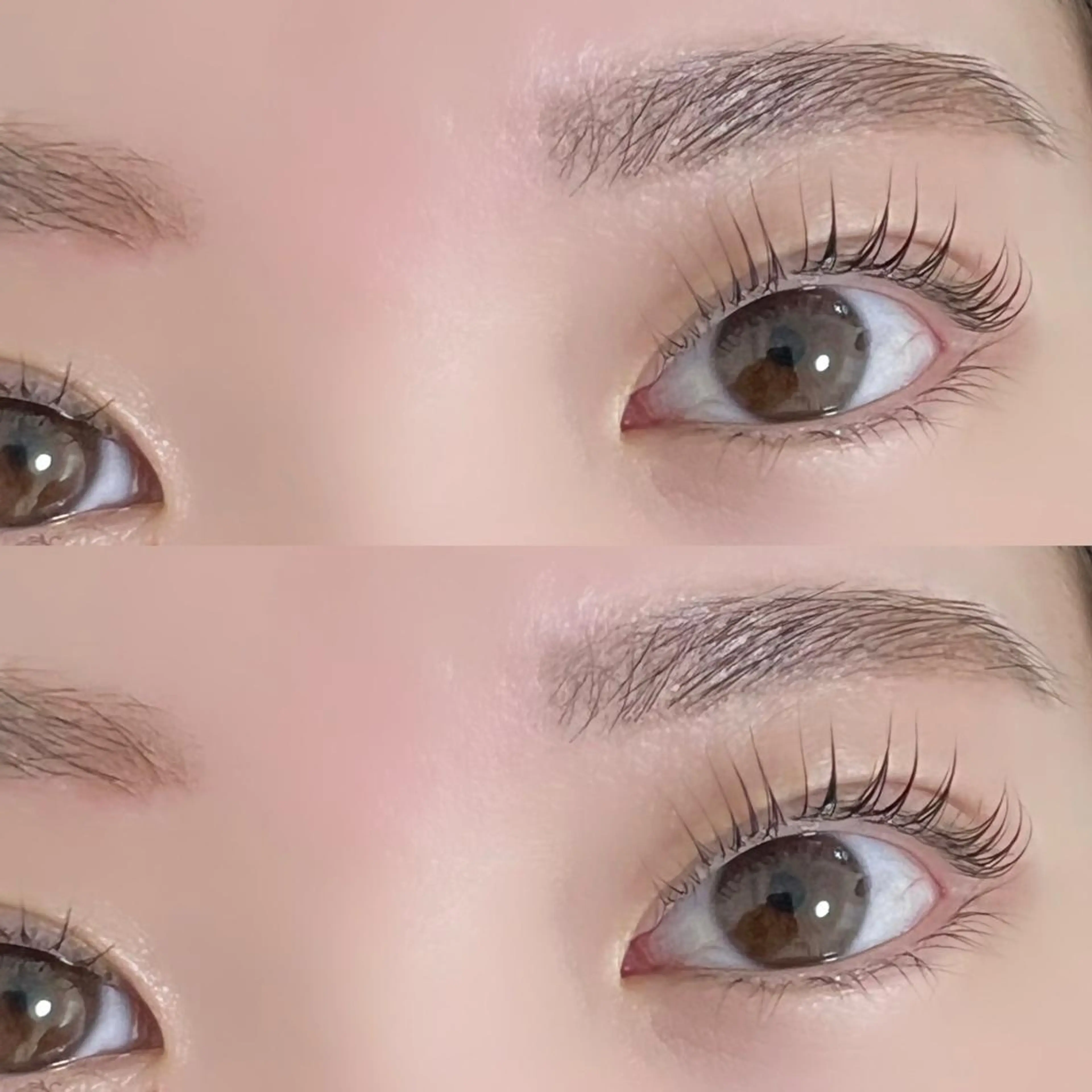‎《セット》🤍美眉アイブロウ×まつげパーマ(パリジェンヌ可)🤍13000円▶️7980円の写真