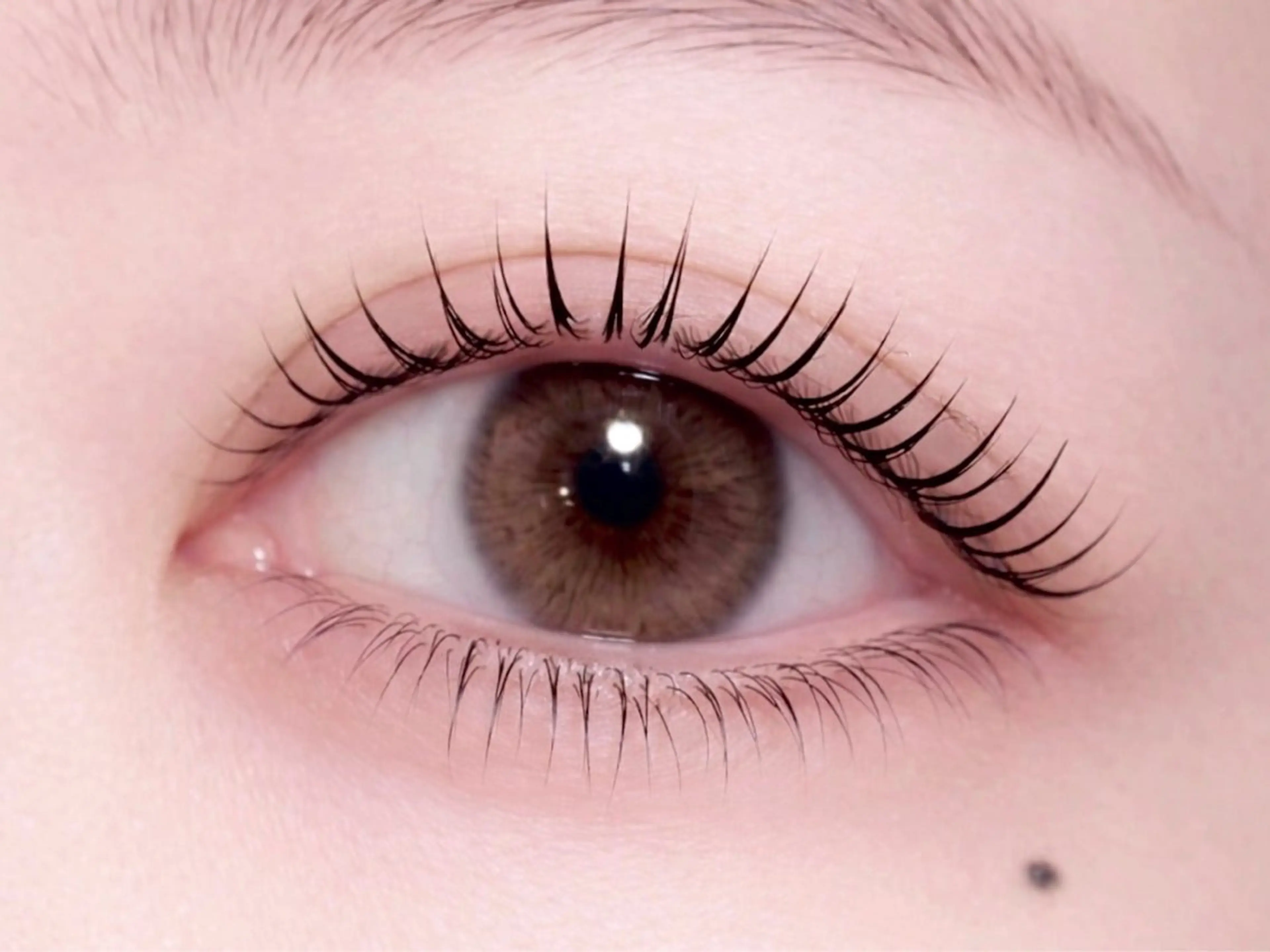 マツエク・マツパ マツパ GN EYE 下北沢/yajimaの眉毛・アイブロウイメージ