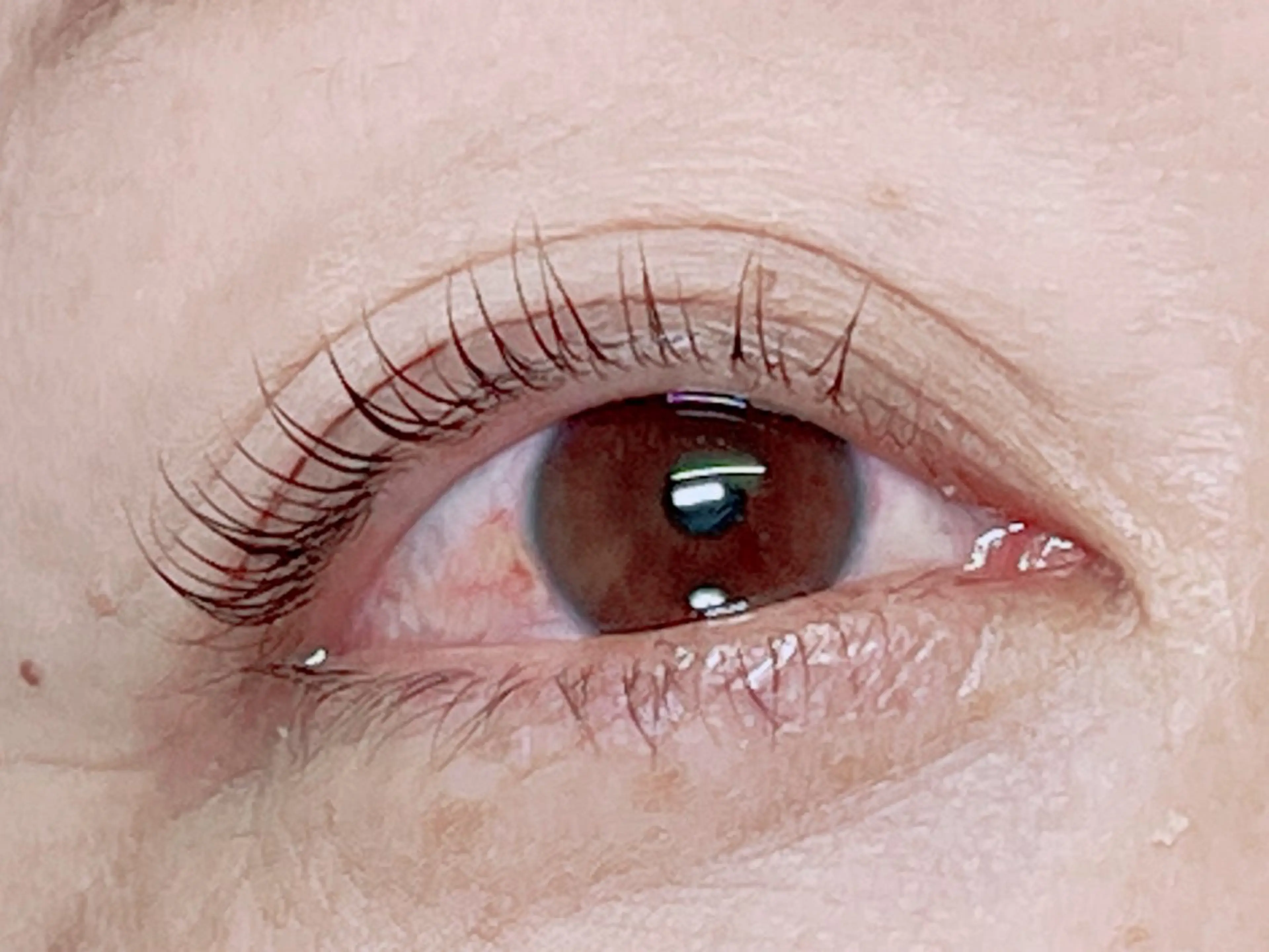 マツエク・マツパ annabelle 大野のマツエク・マツパデザイン