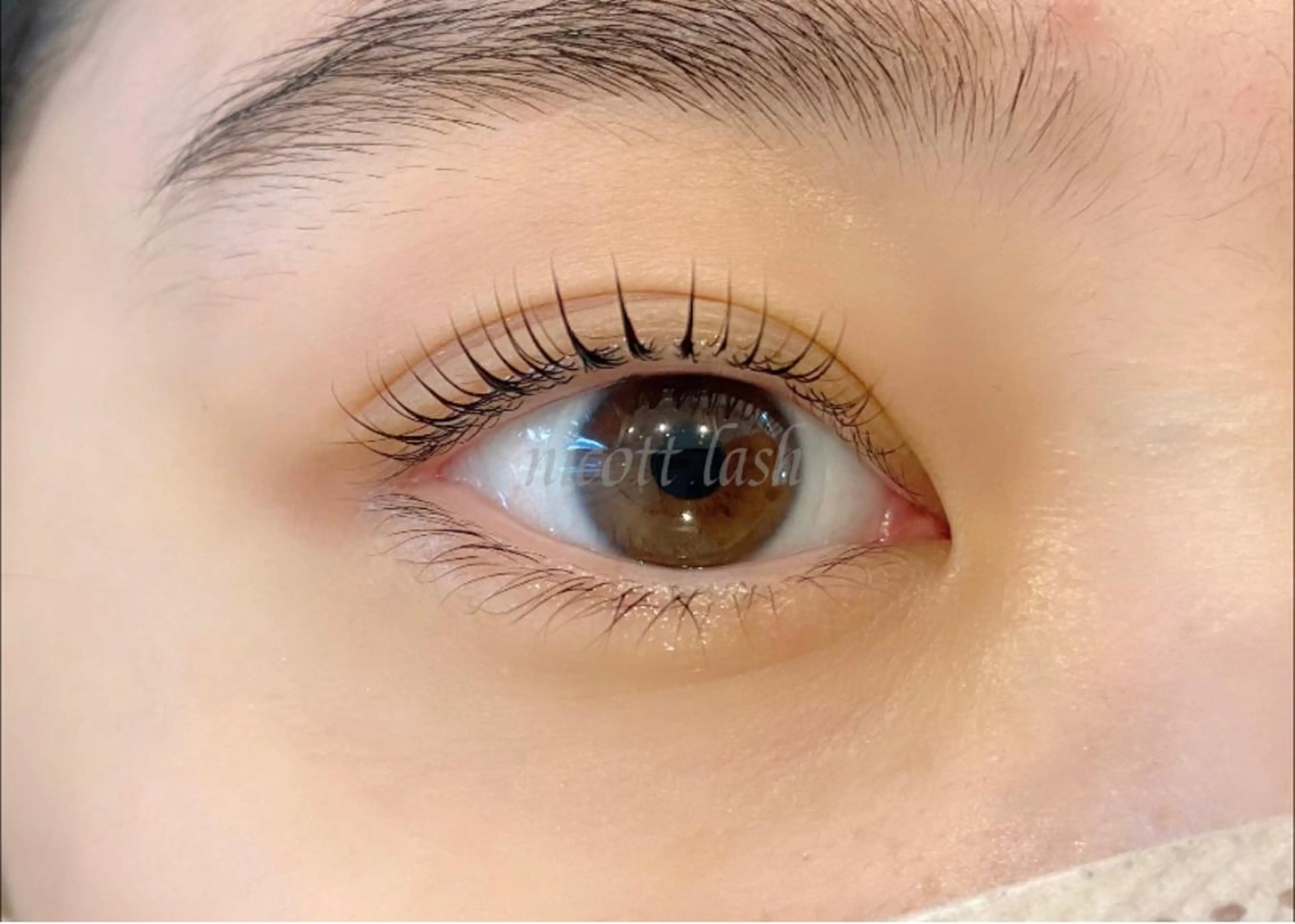 マツエク・マツパ ナチュラル デイジーラッシュ 天王寺　南のマツエク・マツパデザイン