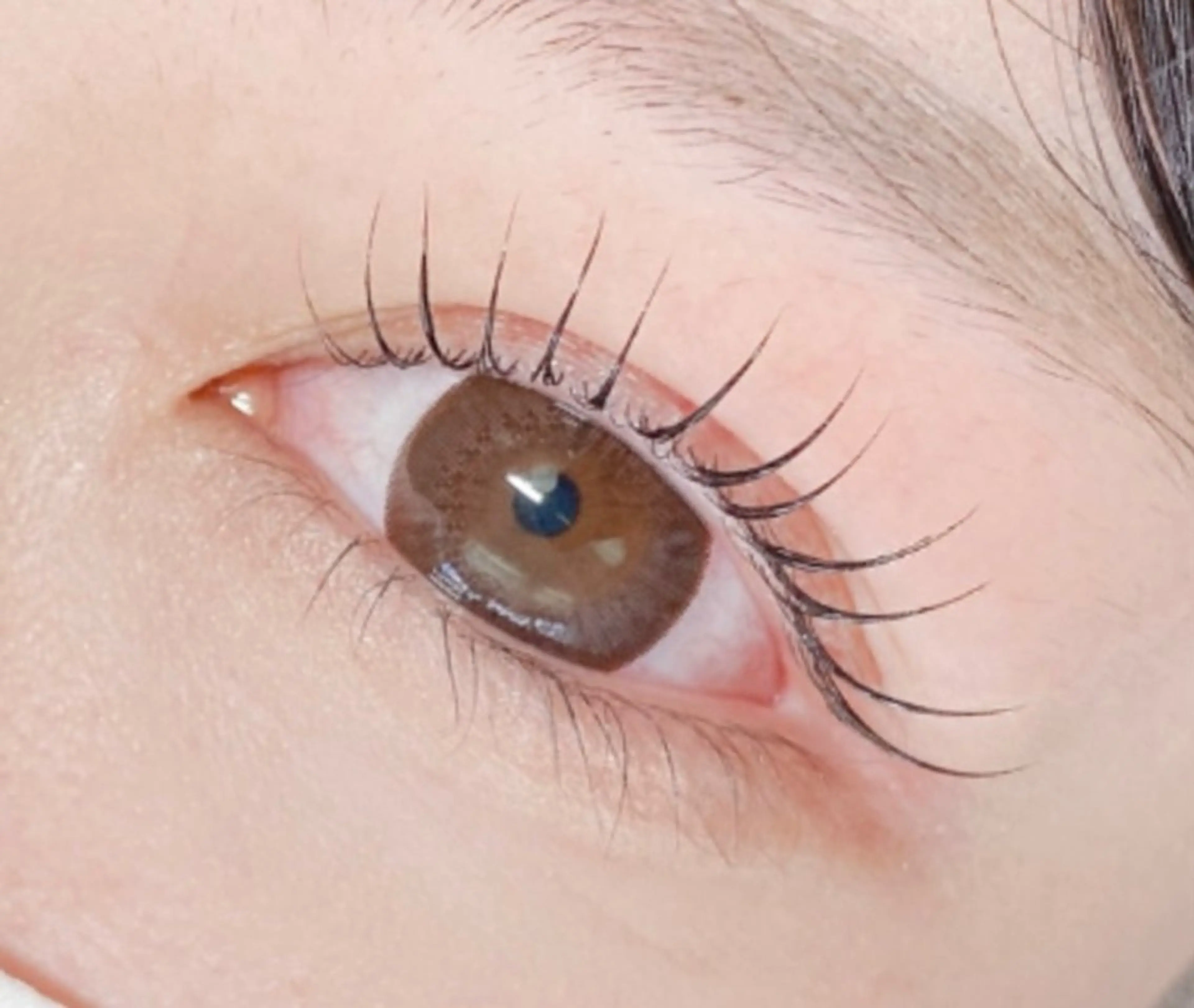 🎁100種類以上のロッドご用意🎄似合わせ上まつげパーマ✨コーティング束感仕上げ✨｜￥5000の写真