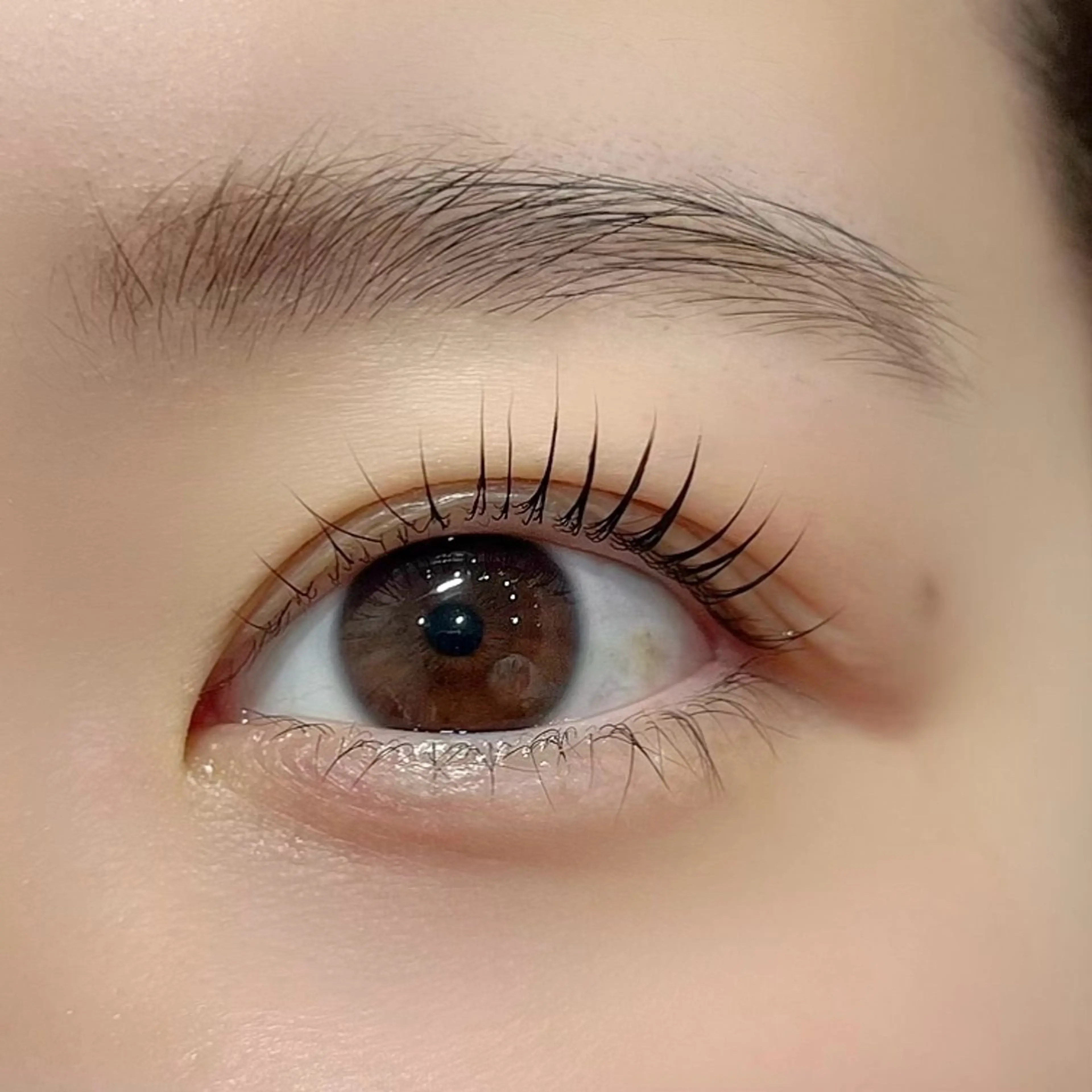 マツエク・マツパ 🪸似合わせ/お悩み 解決🪸しもだのマツエク・マツパデザイン