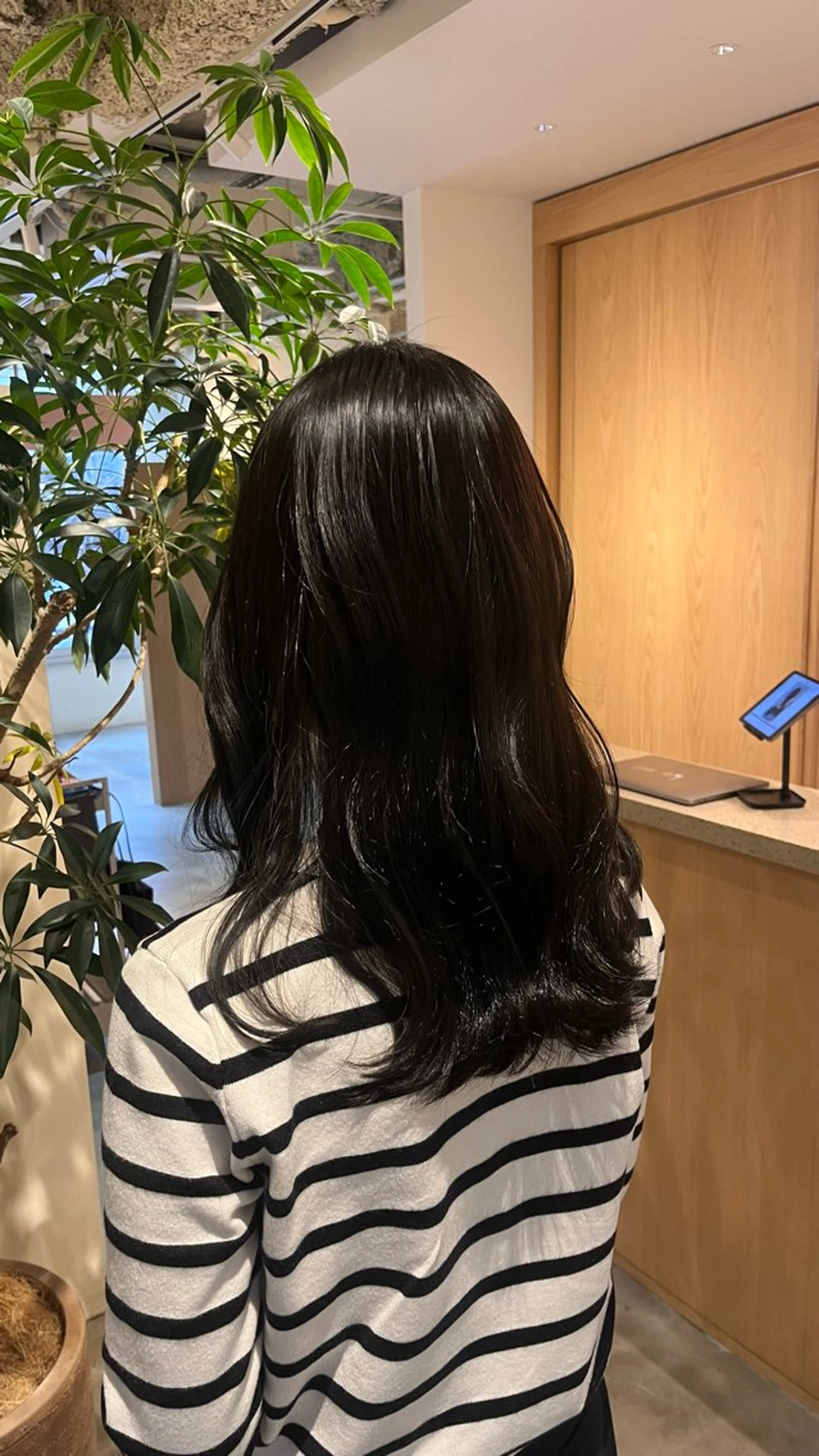 カラー 黒髪 透明感カラー 波多野 聖のヘアスタイル