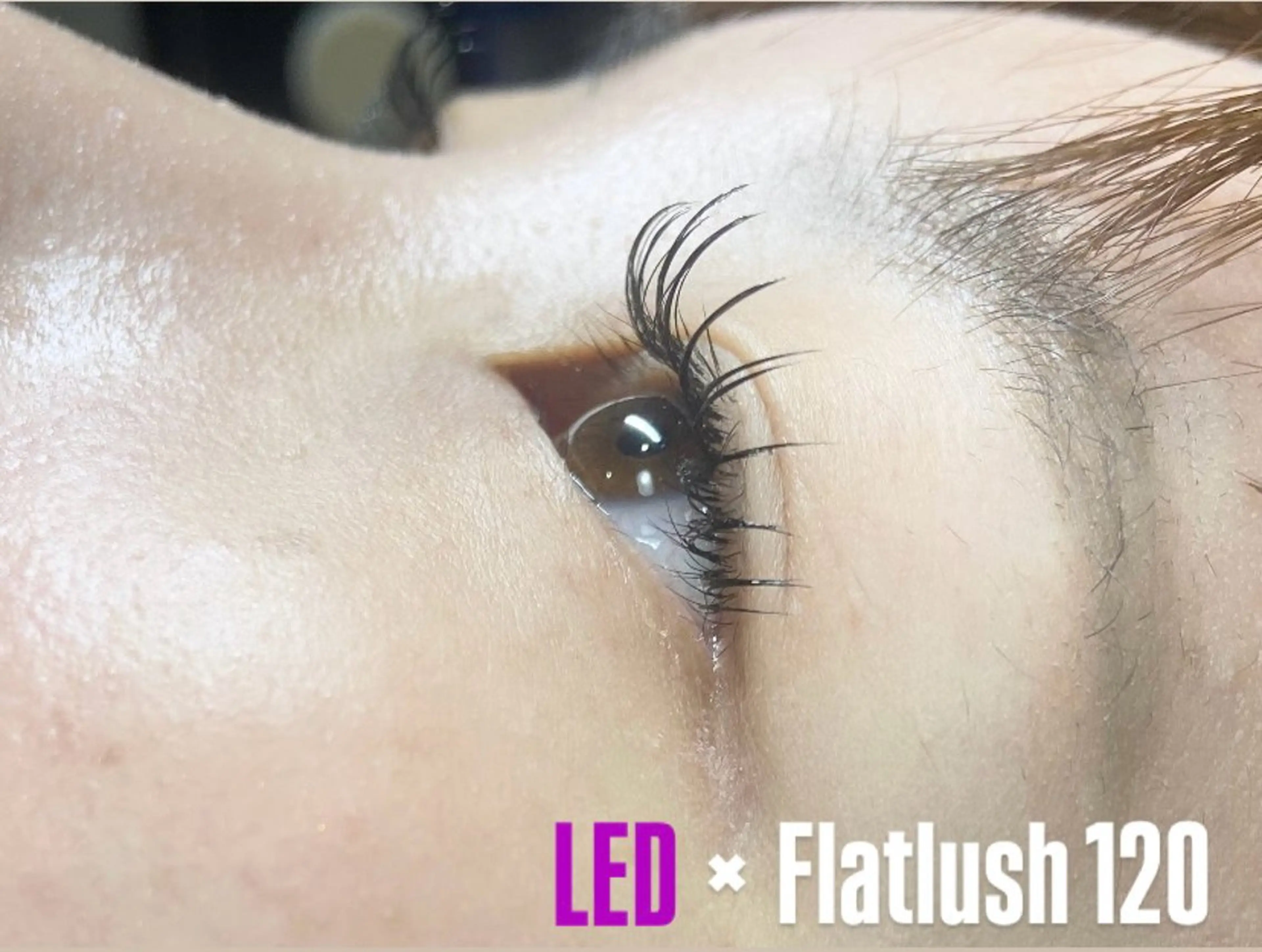 マツエク・マツパ LEDエクステ専門店 Fedis 京橋のマツエク・マツパデザイン