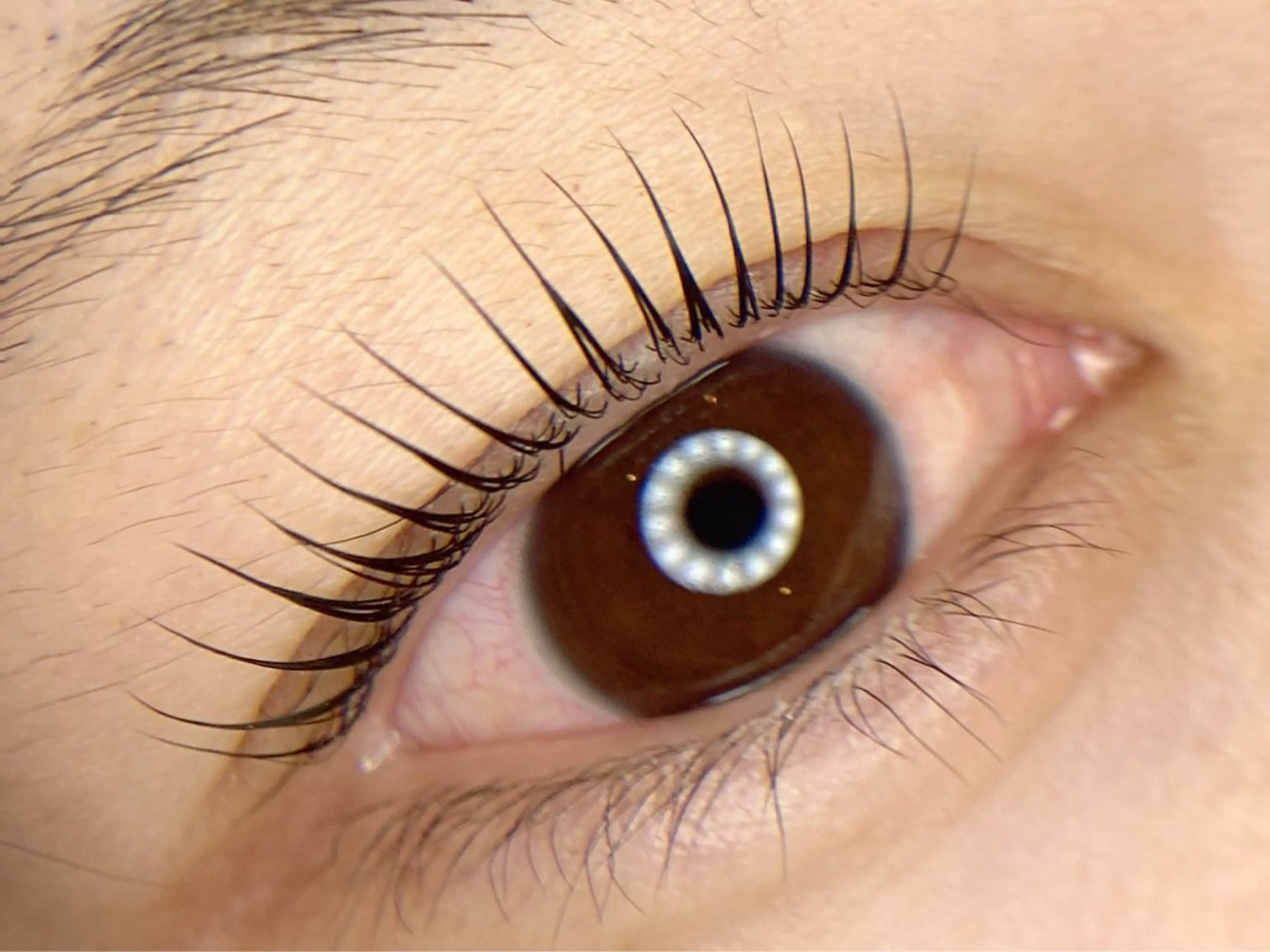 マツエク・マツパ マツパ tomte トムテのマツエク・マツパデザイン