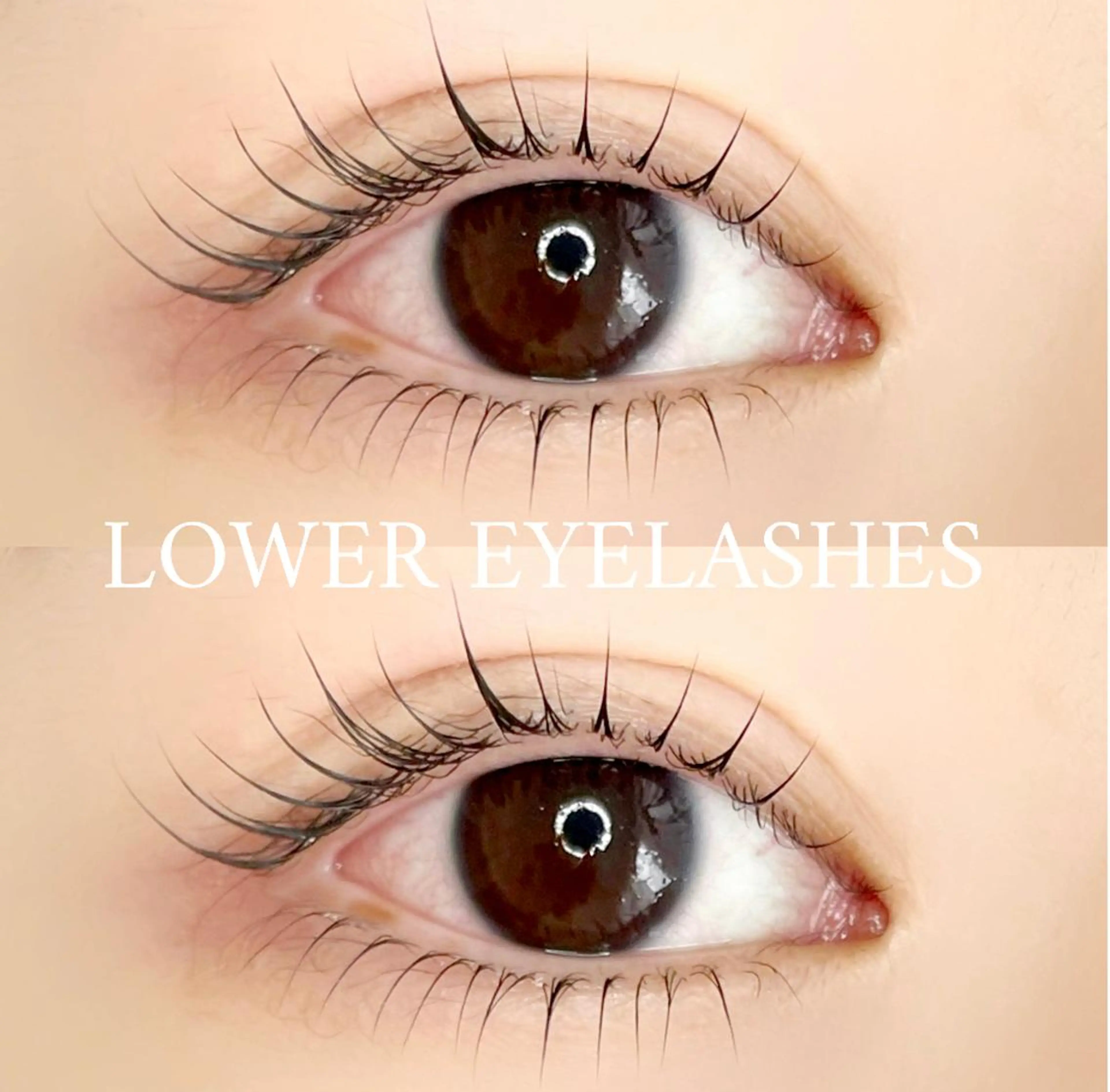 マツエク・マツパ アイブロウ Le'a first ‎🤍店長yuukaのマツエク・マツパデザイン