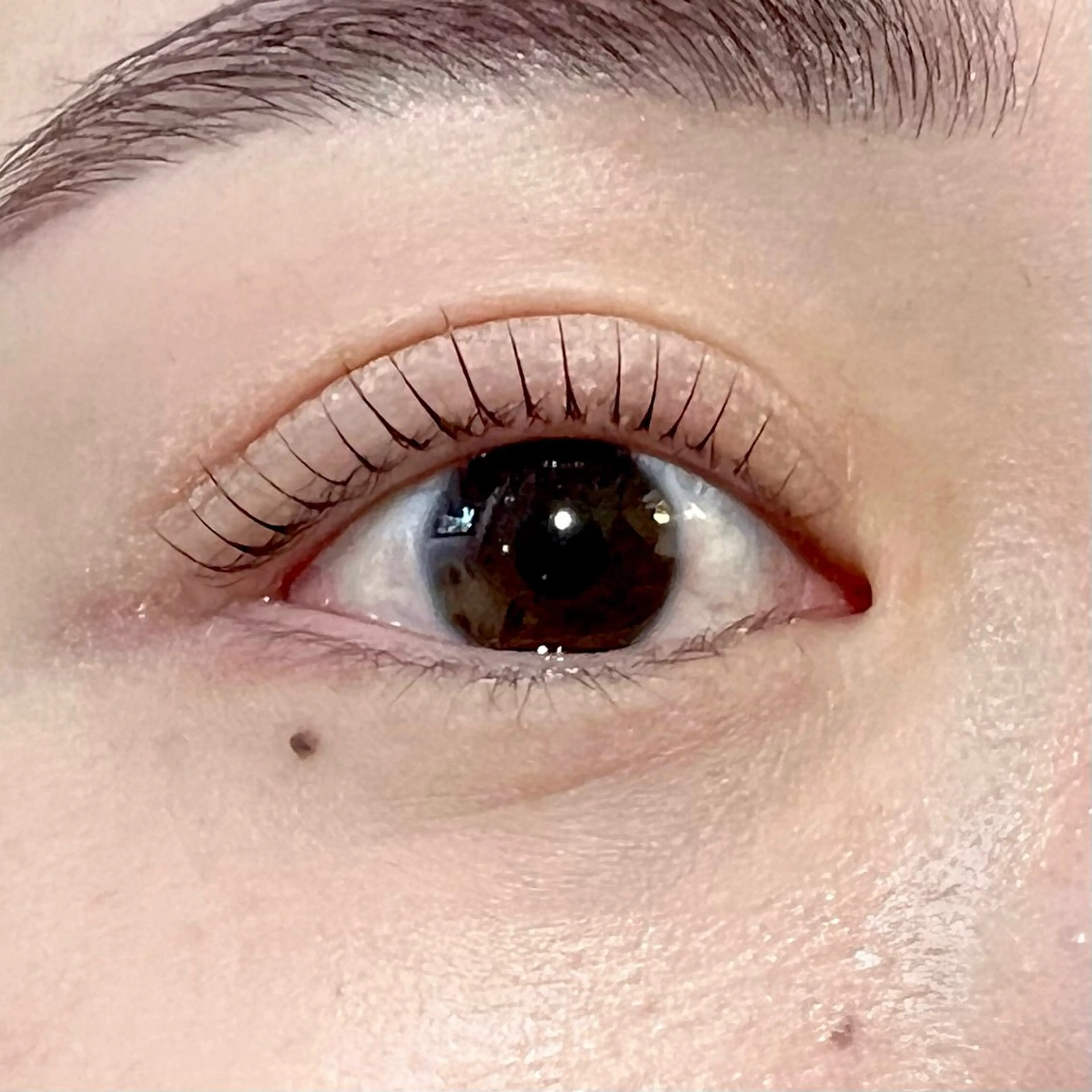 マツエク・マツパ 曽根 amuserのマツエク・マツパデザイン