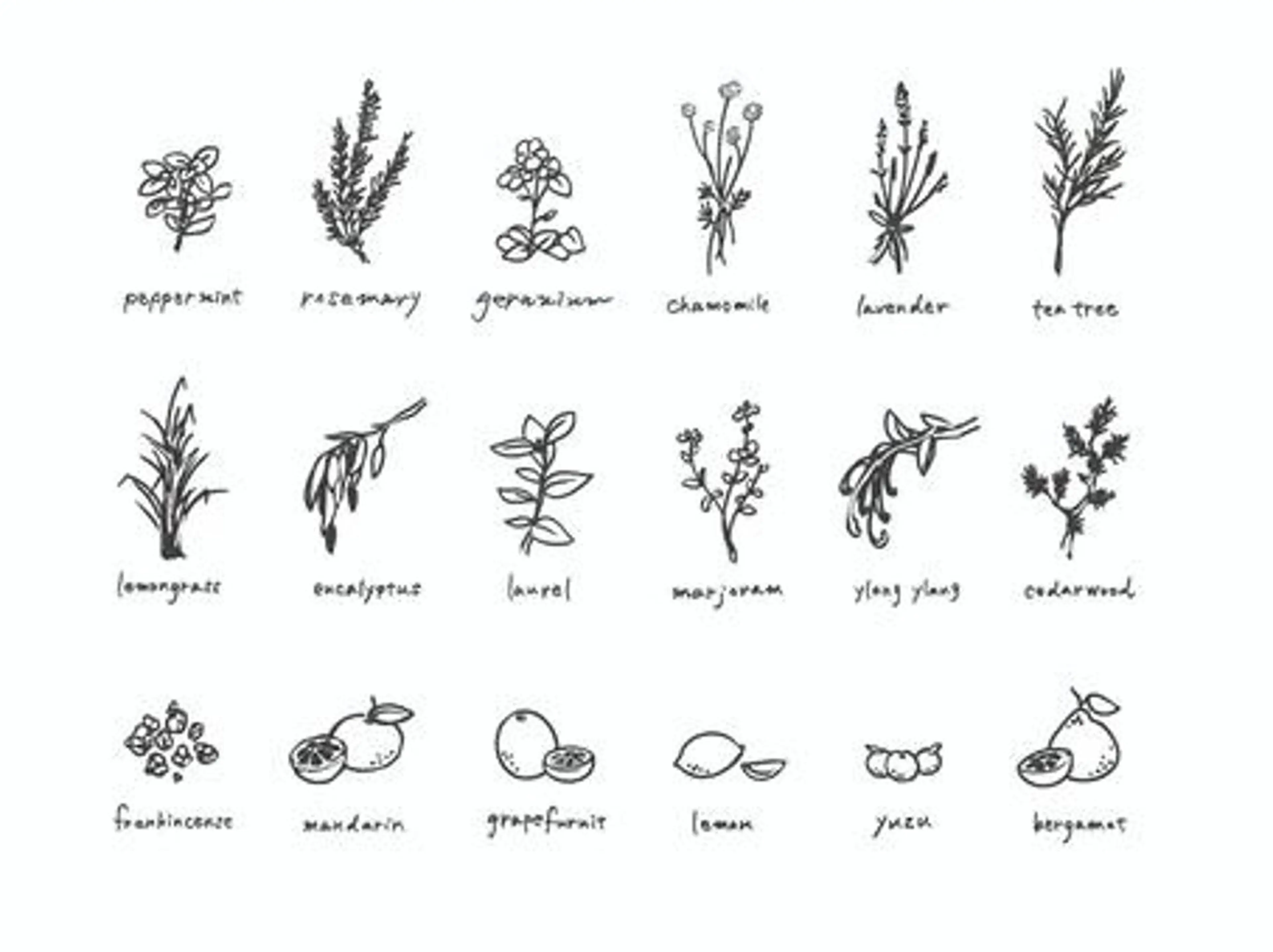 ロング ロング 似合わせカット トリートメント カット トリートメント ヘッドスパ sōko   Hair&Nail Salon所属・🫧一気にあか抜け 🫧mayuのヘアスタイル