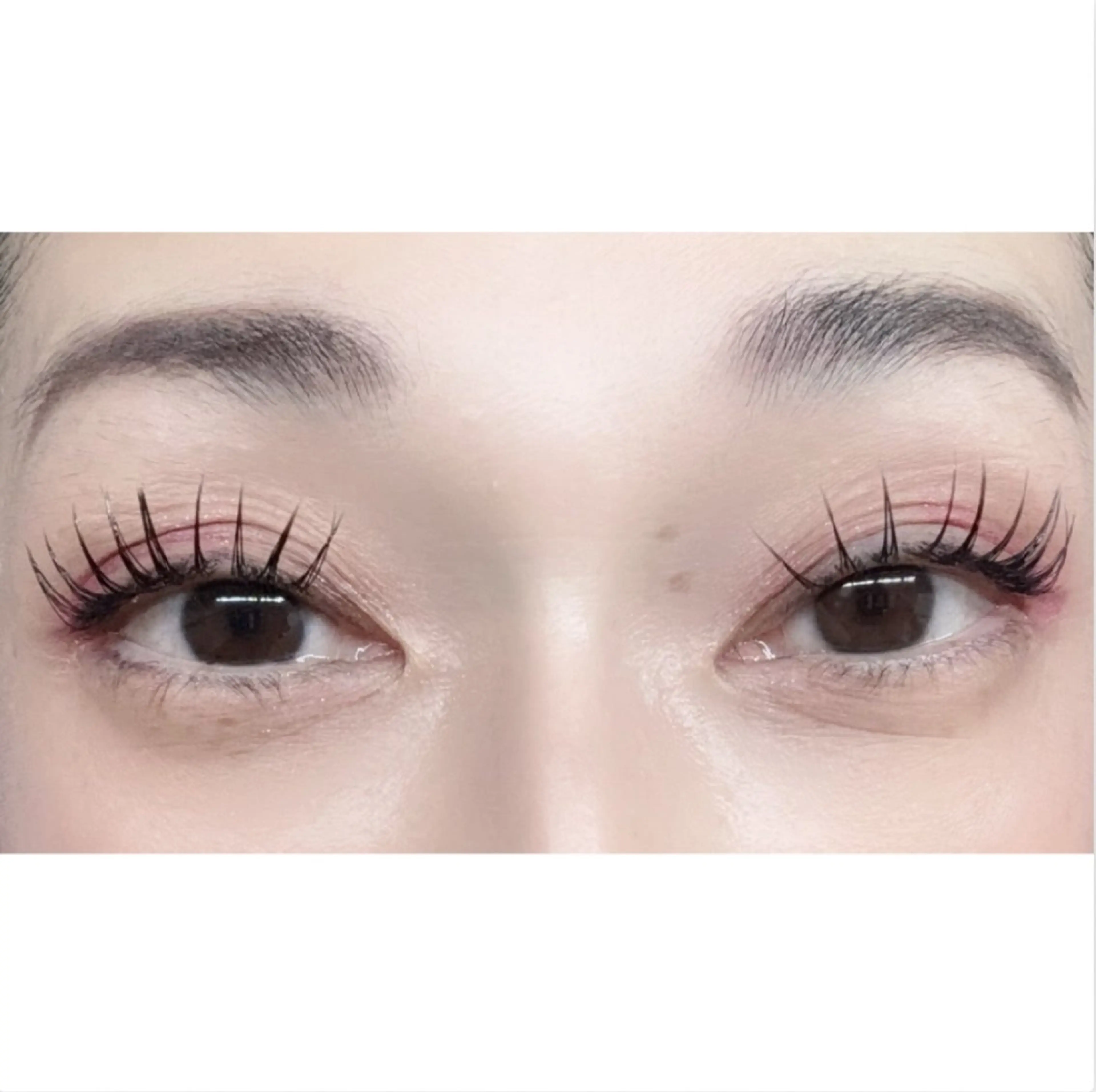 マツエク・マツパ フラットラッシュ Lカール padma eye beautyのマツエク・マツパデザイン