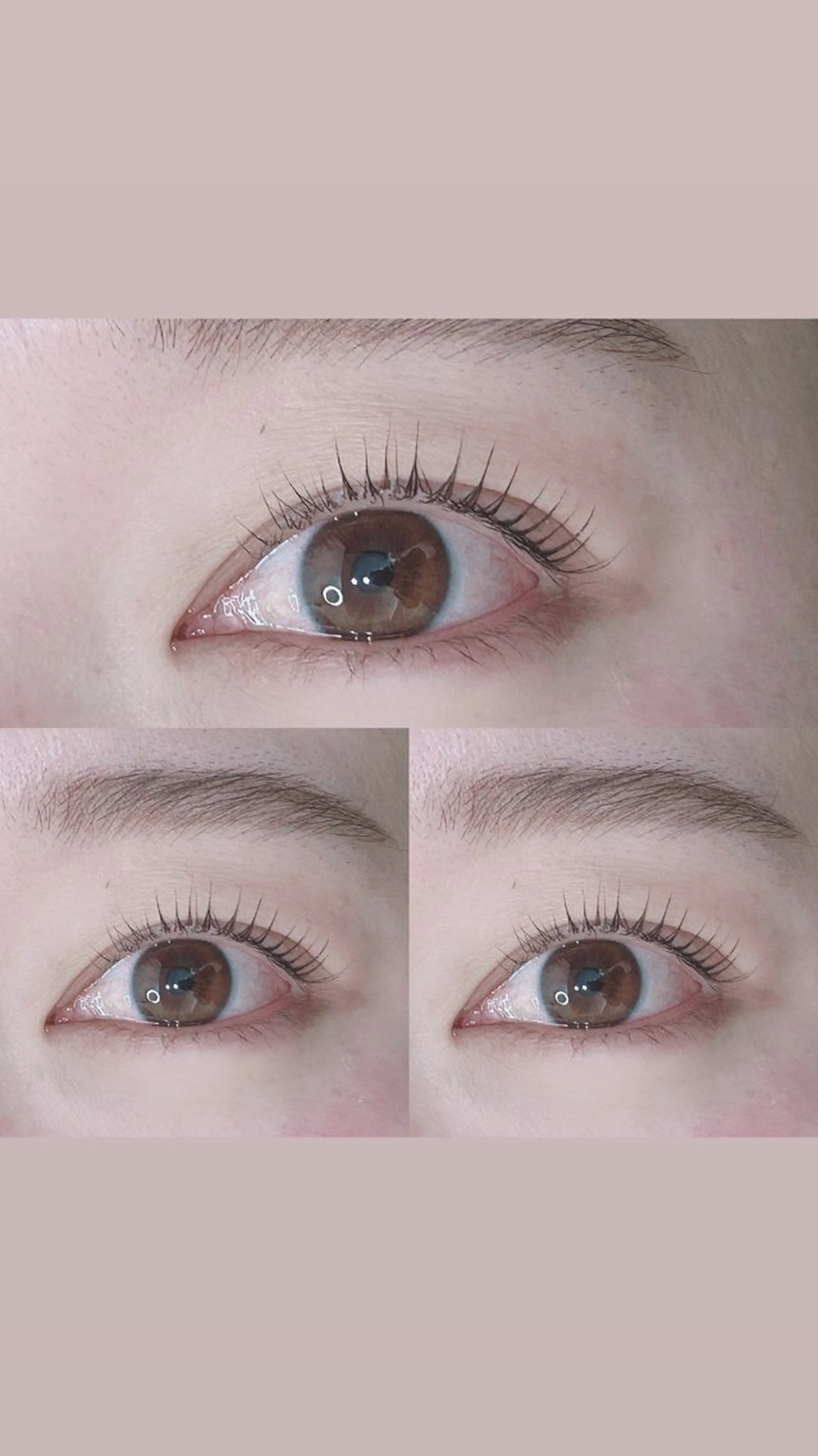 マツエク・マツパ Ami/束感エクステ /韓国風マツパのマツエク・マツパデザイン