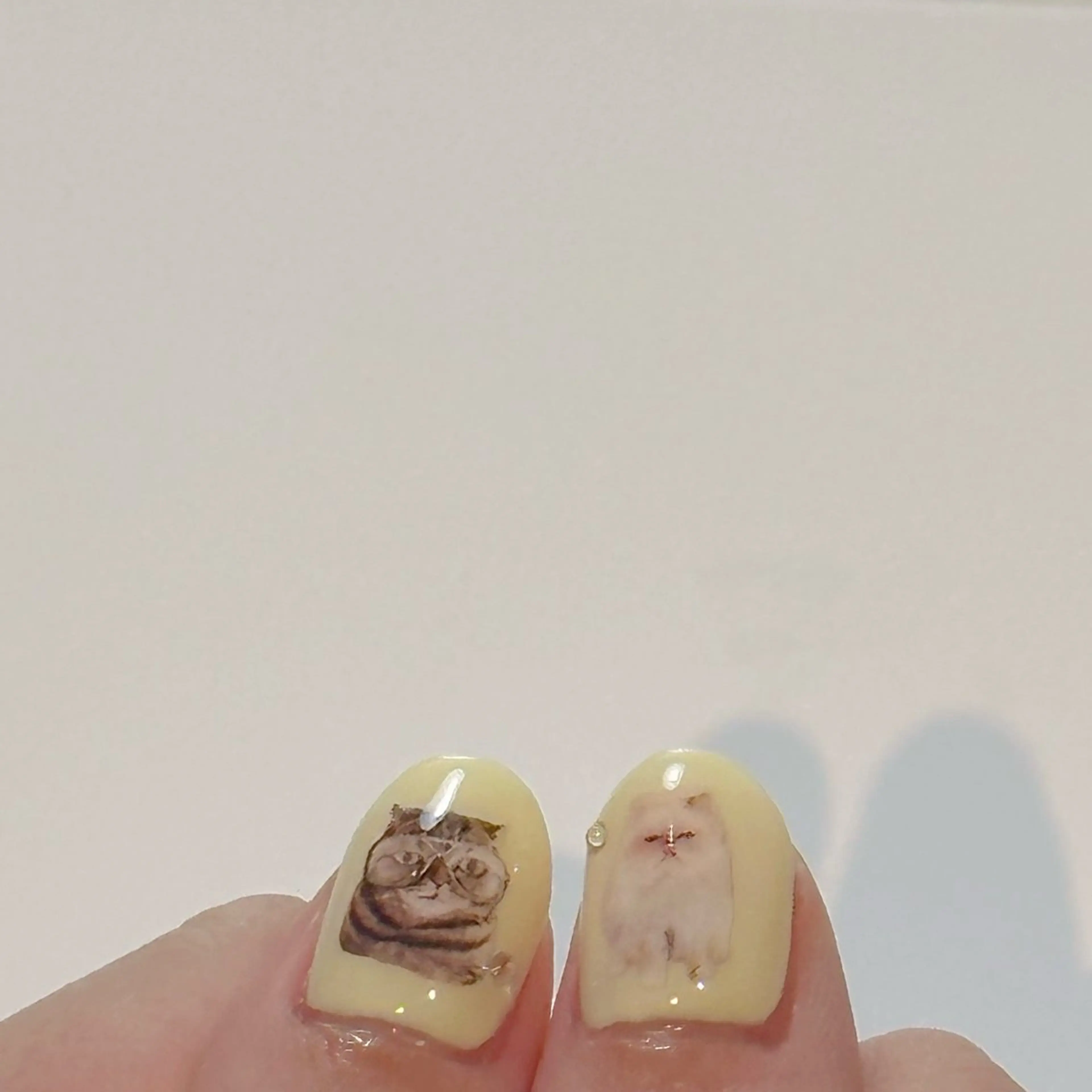 ネイル tsugi nailのネイルデザイン