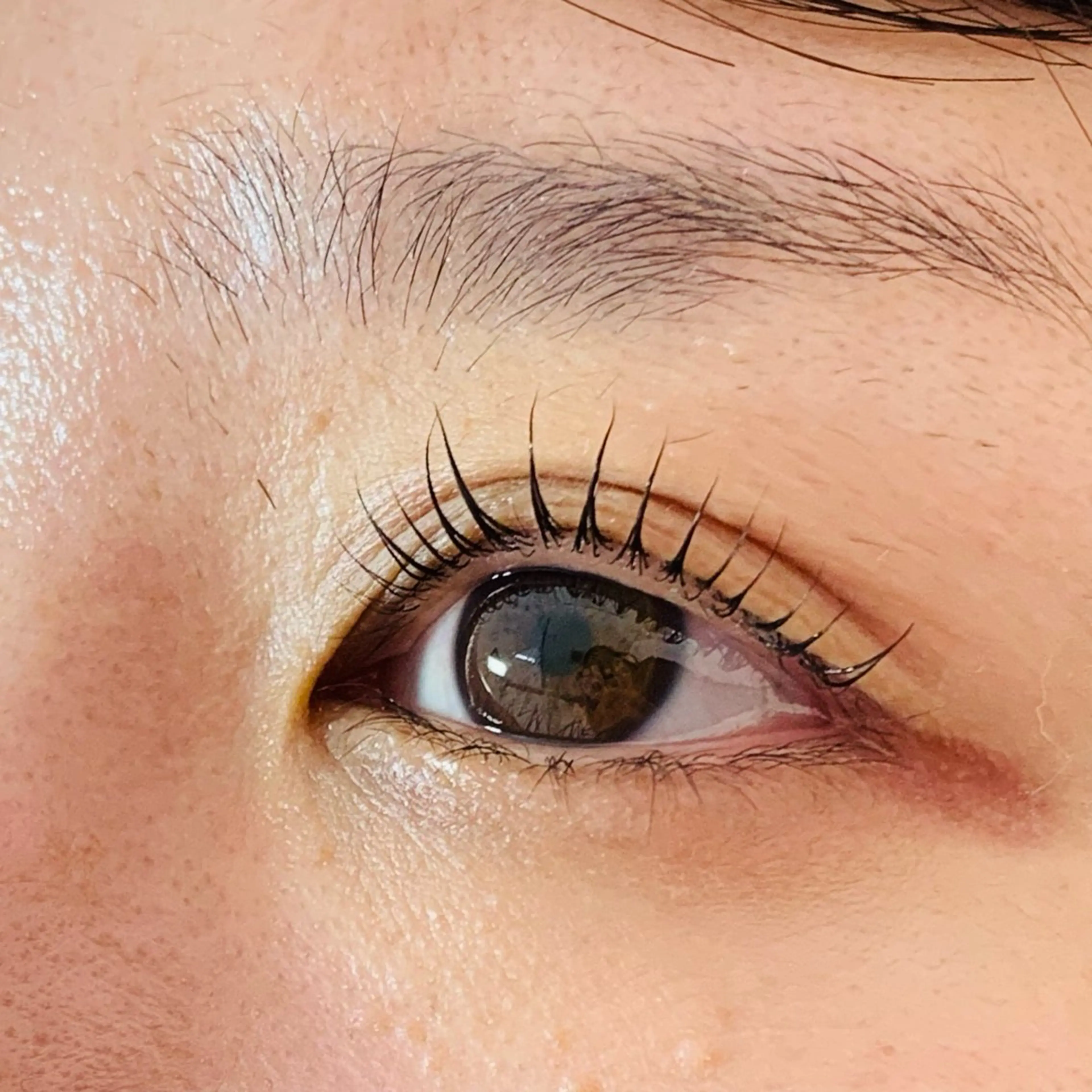 ❤️パーソナルラッシュリフト(まつ毛パーマ、パリジェンヌ、メーテル等)➕美容液👀❤️の写真