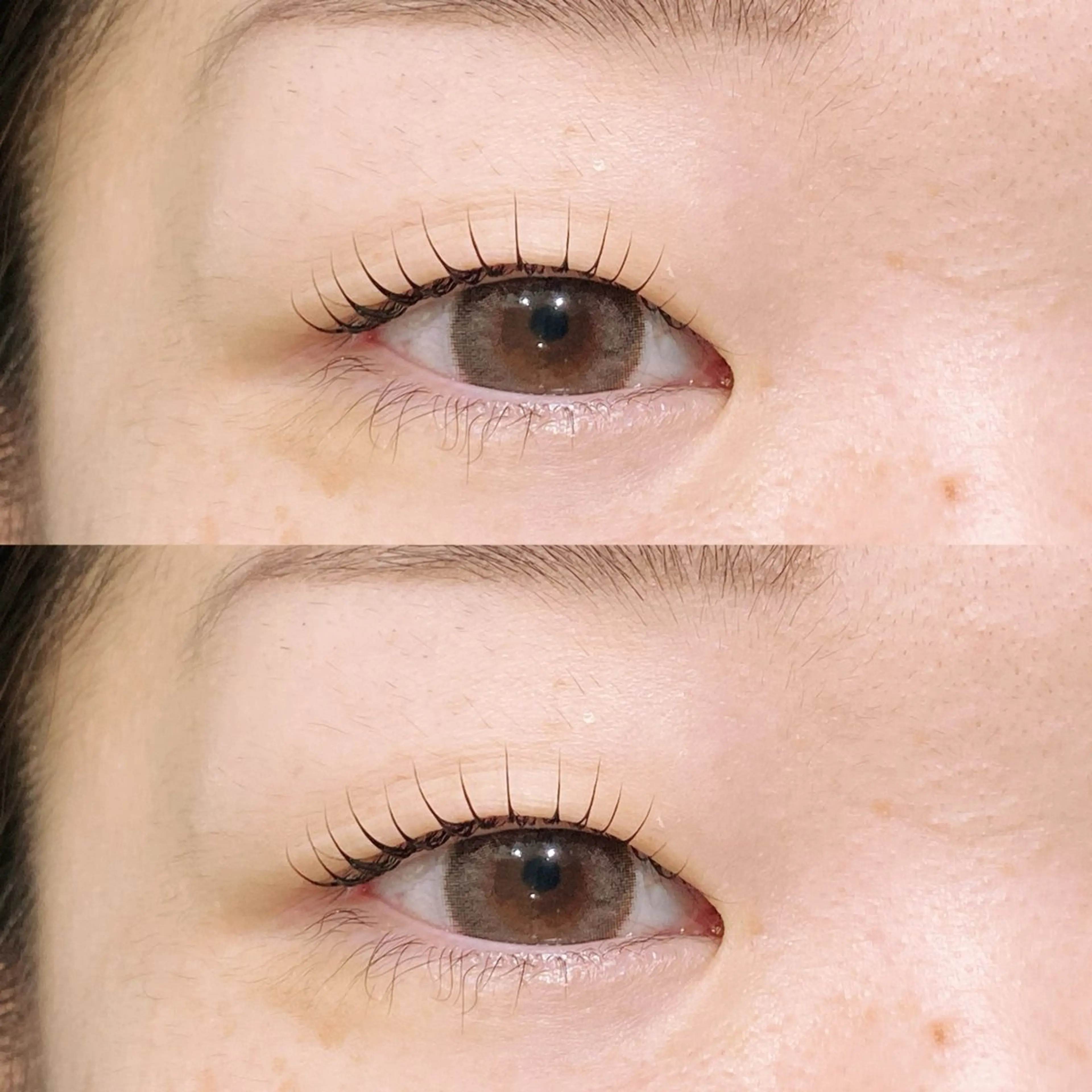 マツエク・マツパ マツパ パリジェンヌ/眉毛 Lino柏 Yumeのマツエク・マツパデザイン