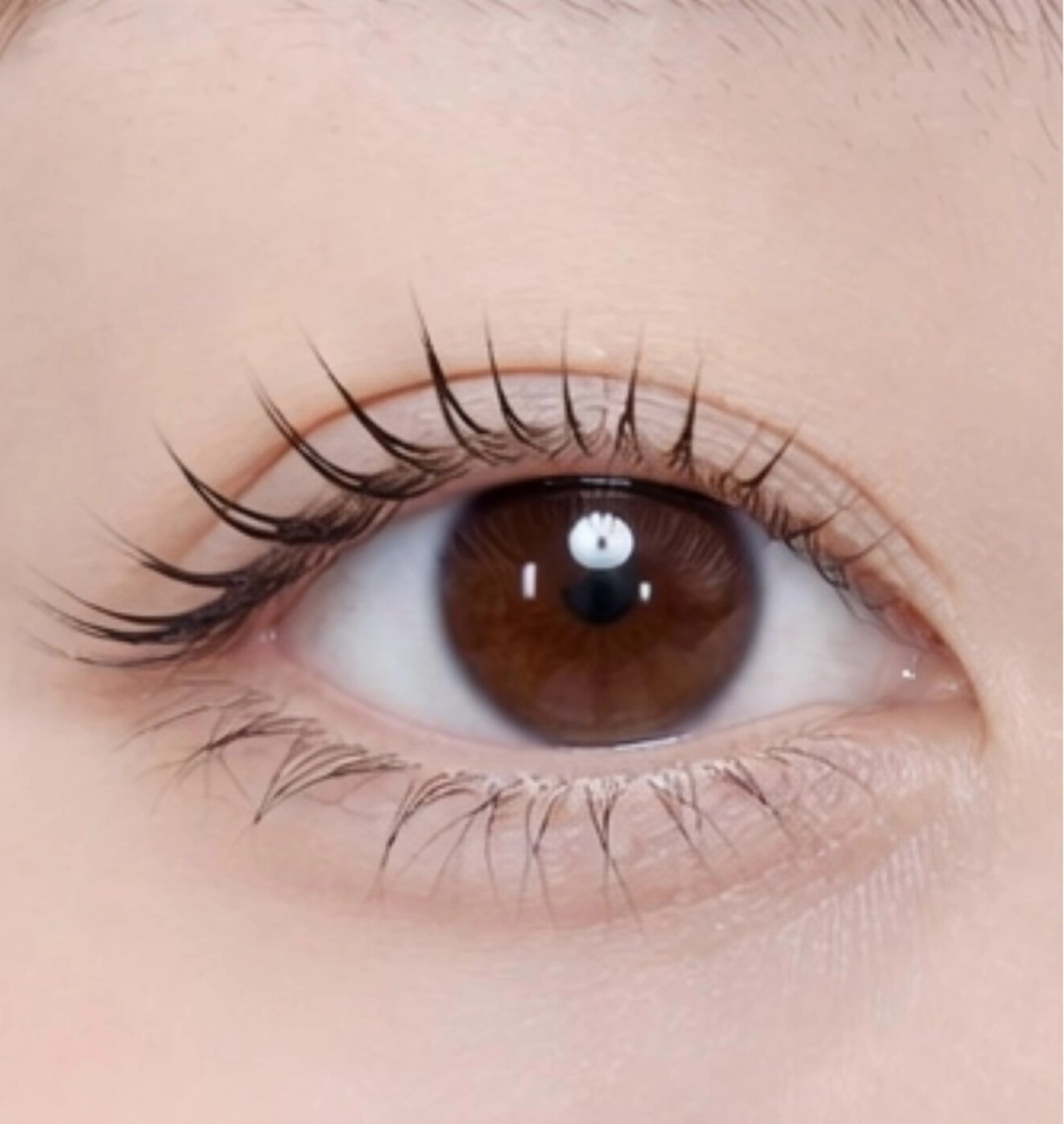 【ご新規様平日限定】✨🎀似合わせまつげパーマor パリジェンヌ（上下）🎀✨トリートメントコーティング付きの写真