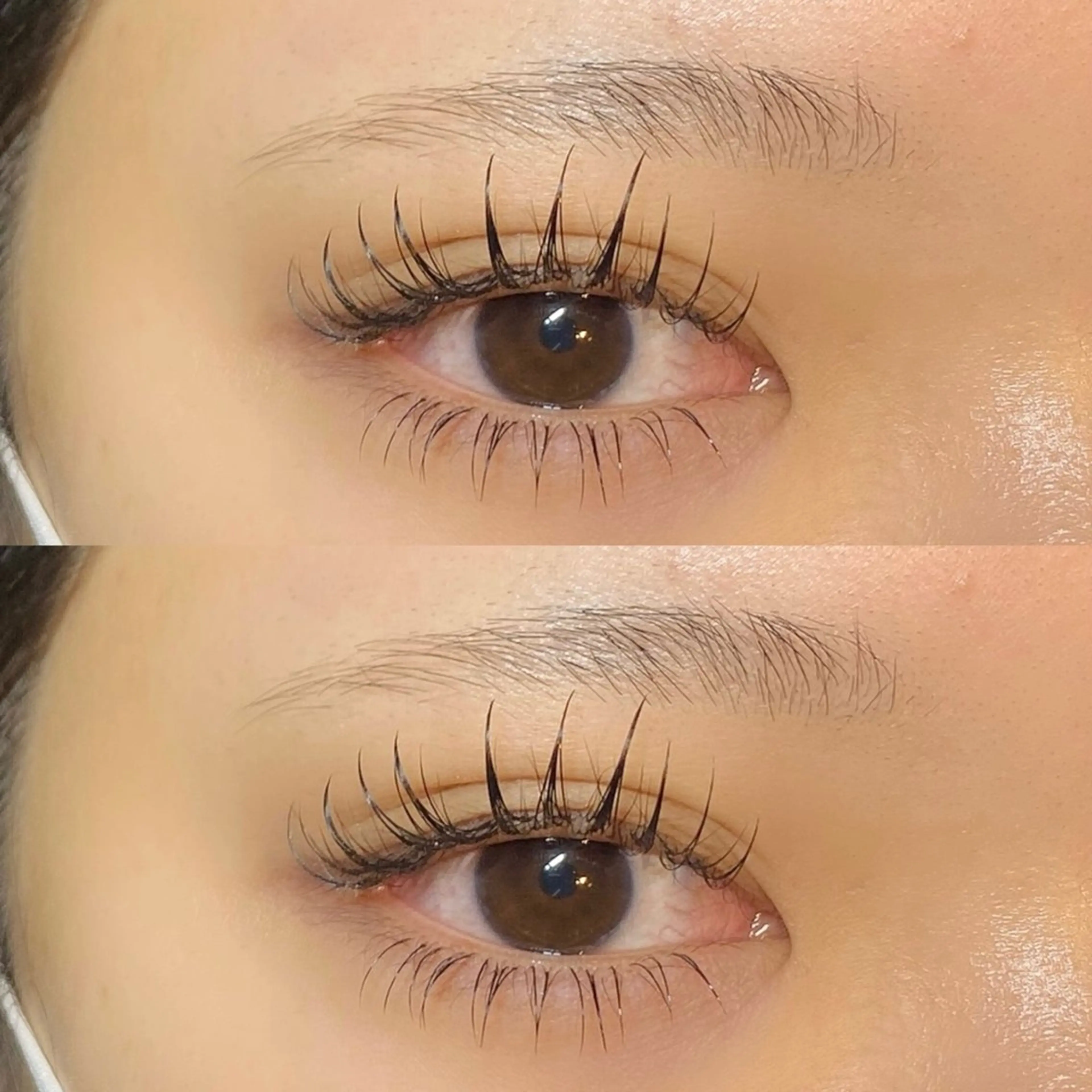 フラットラッシュ120本➕下エク🌟の写真