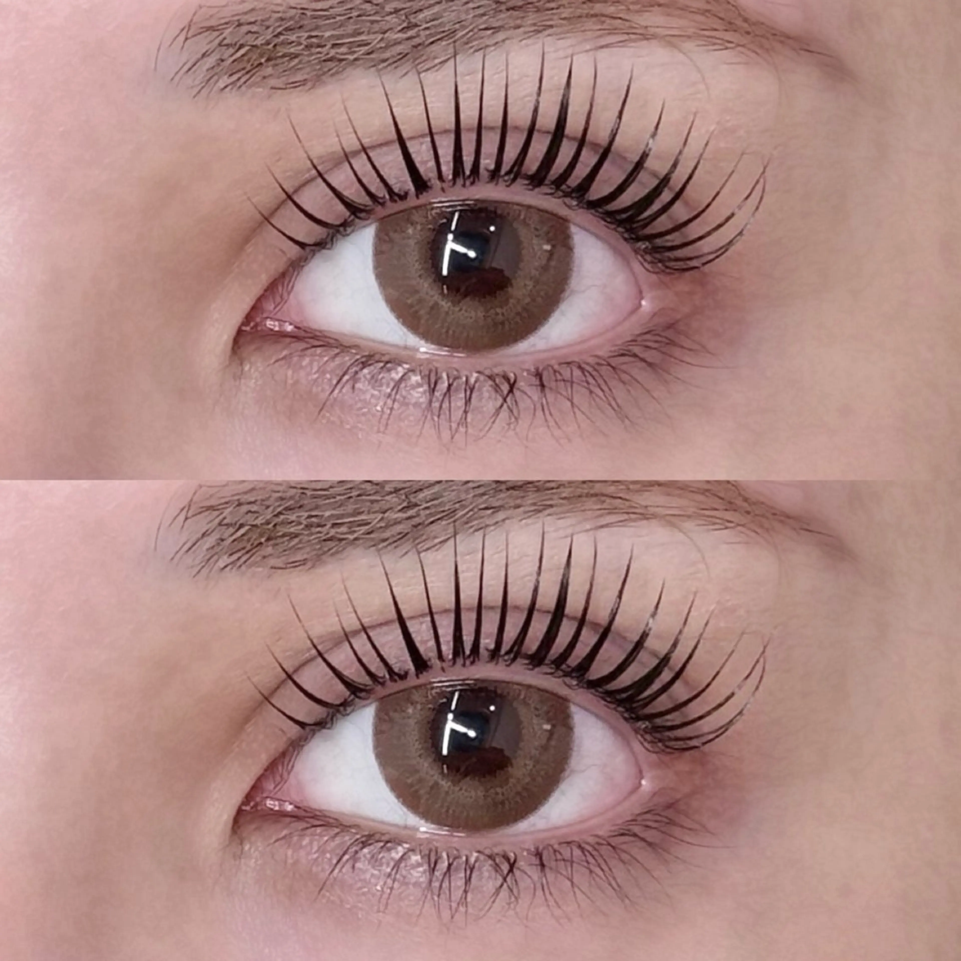 マツエク・マツパ パリジェンヌラッシュリフト マツパ 🌺WOLTOKYO 池袋🌺suzukaのマツエク・マツパデザイン