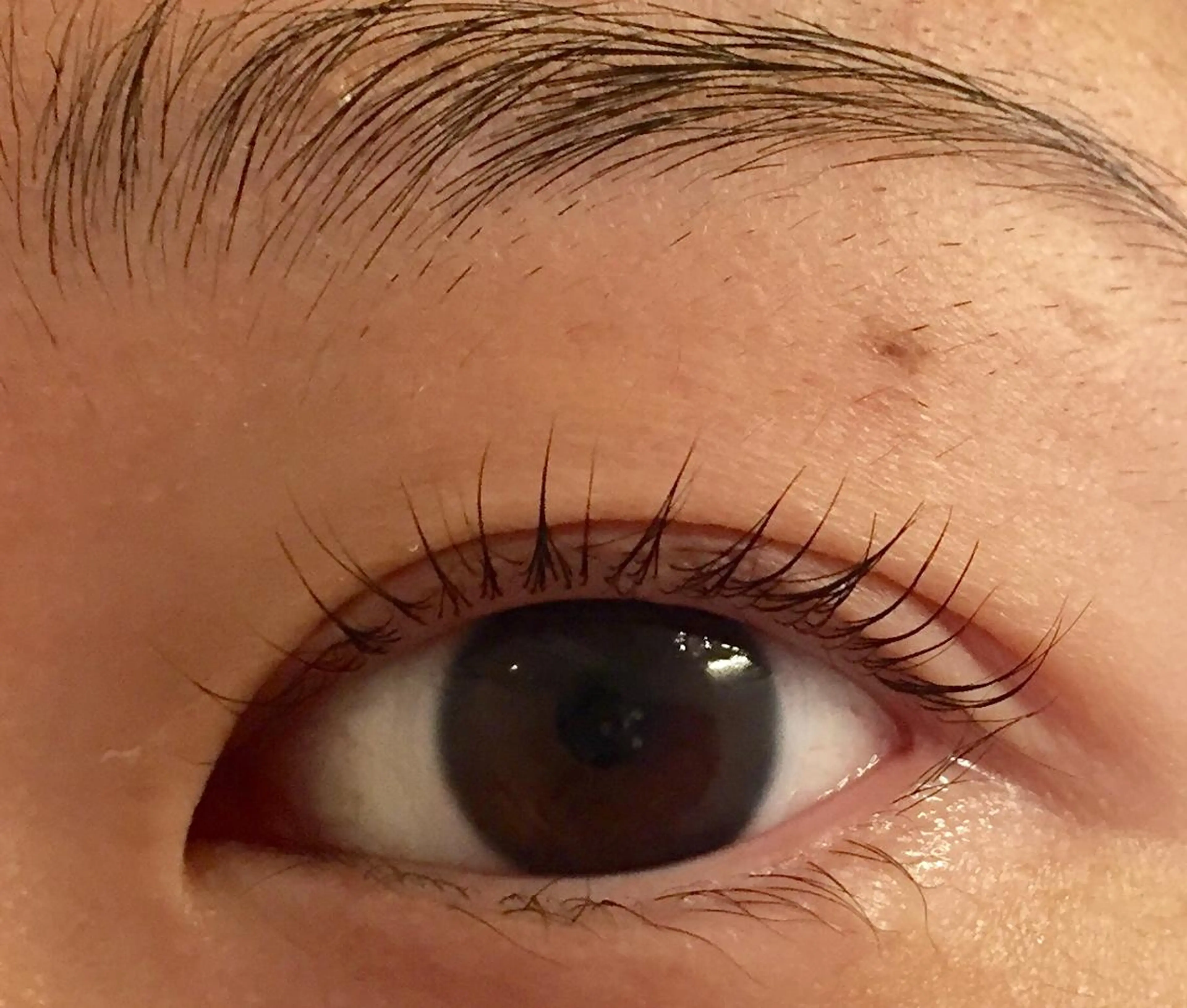 マツエク・マツパ パリジェンヌラッシュリフト 一重×まつ毛パーマ Kalon Irisのマツエク・マツパデザイン