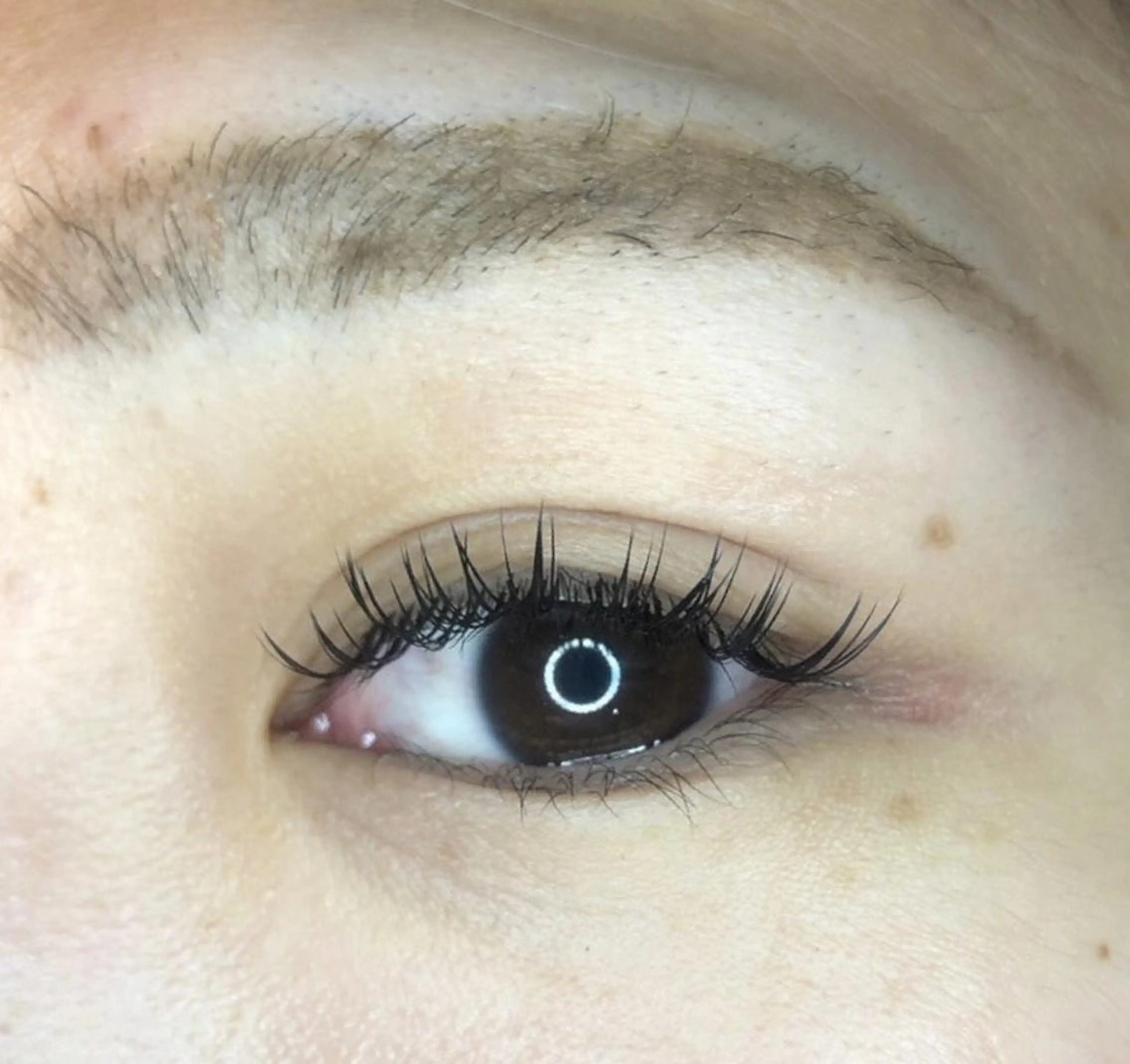 4月限定【ご新規様】ダブルフラットラッシュ技術向上メニューオフあり60束〜(120本)オフなし80束(160本)の写真