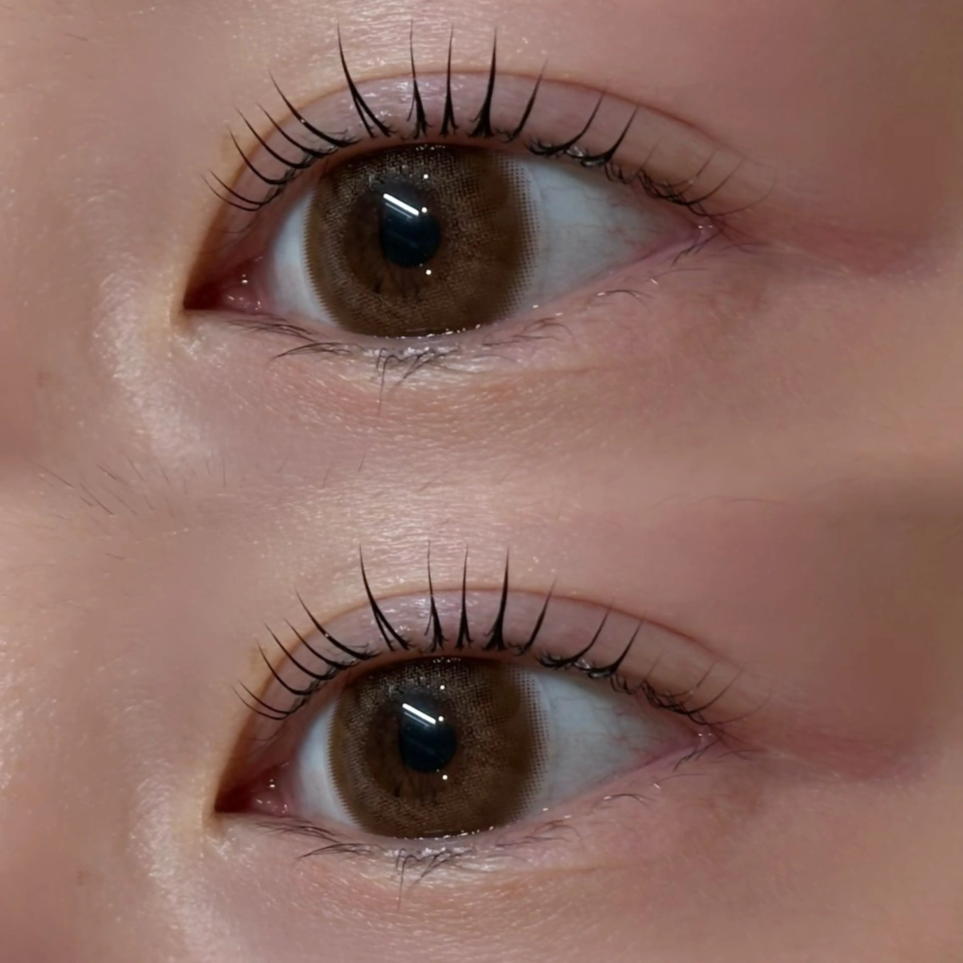 マツエク・マツパ パリジェンヌラッシュリフト アンドヘルシー/束感 /LED🩶MIYUのマツエク・マツパデザイン