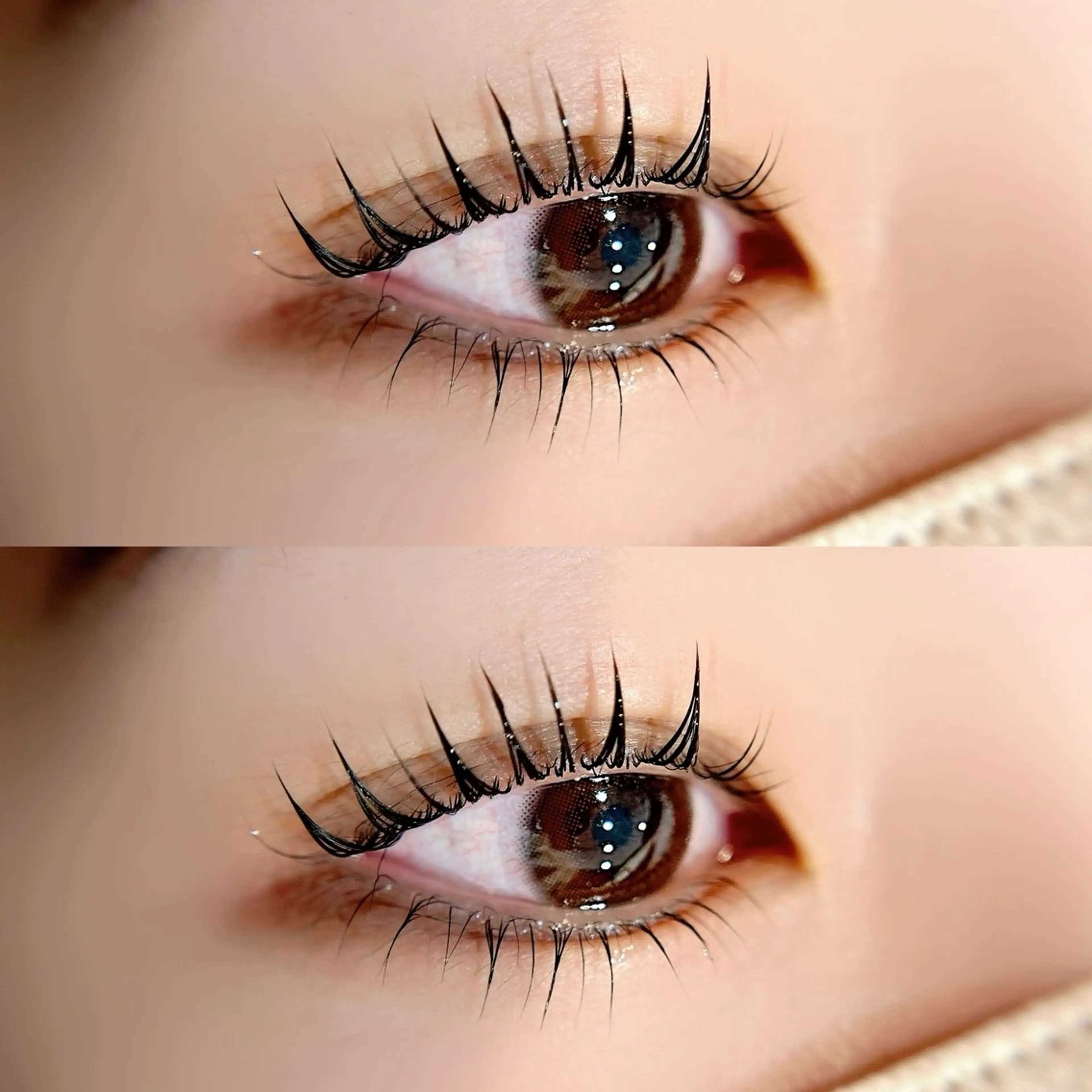 【平日限定】まつげパーマ(上下)🤍の写真