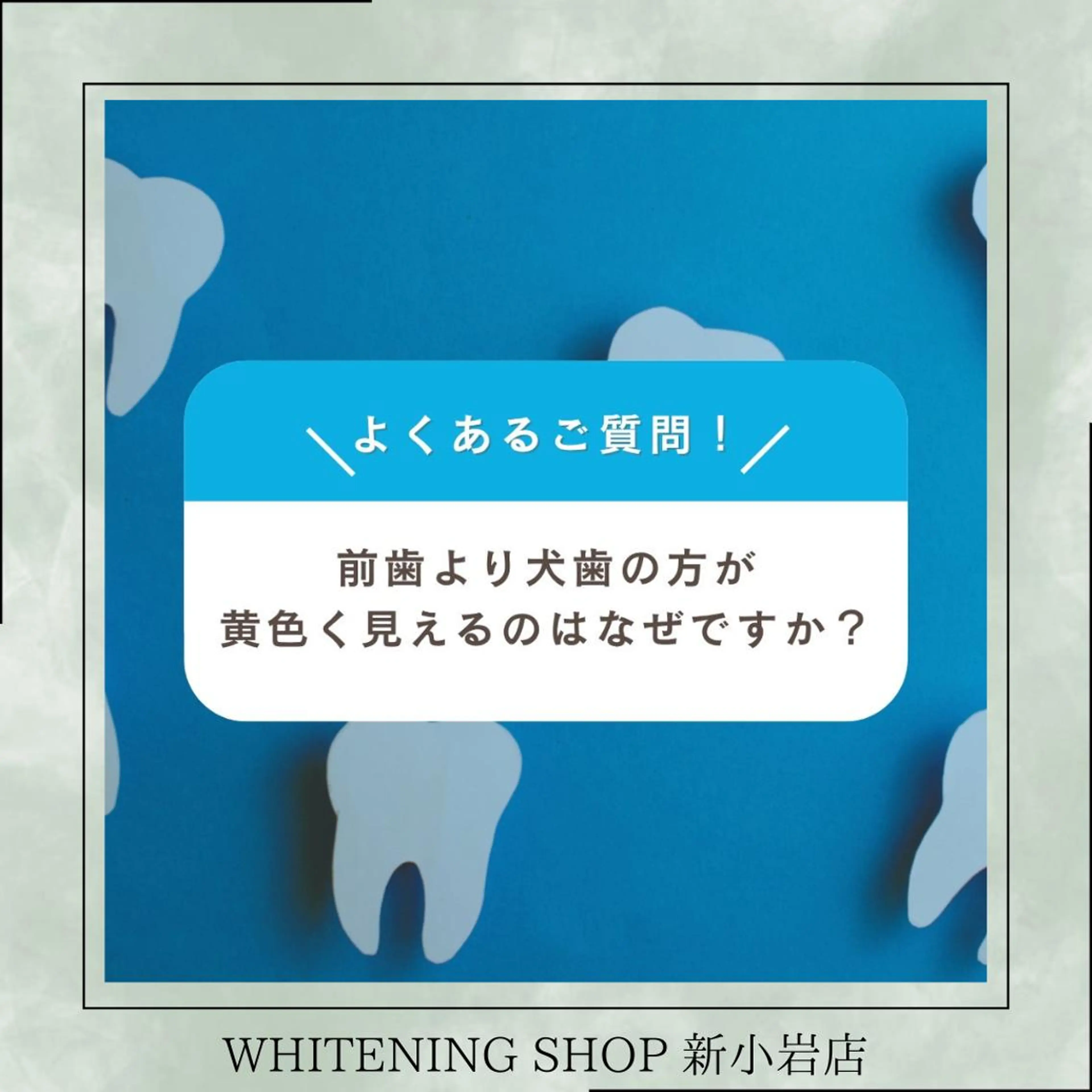 メンズ その他 ホワイトニング ショップ新小岩店のその他イメージ