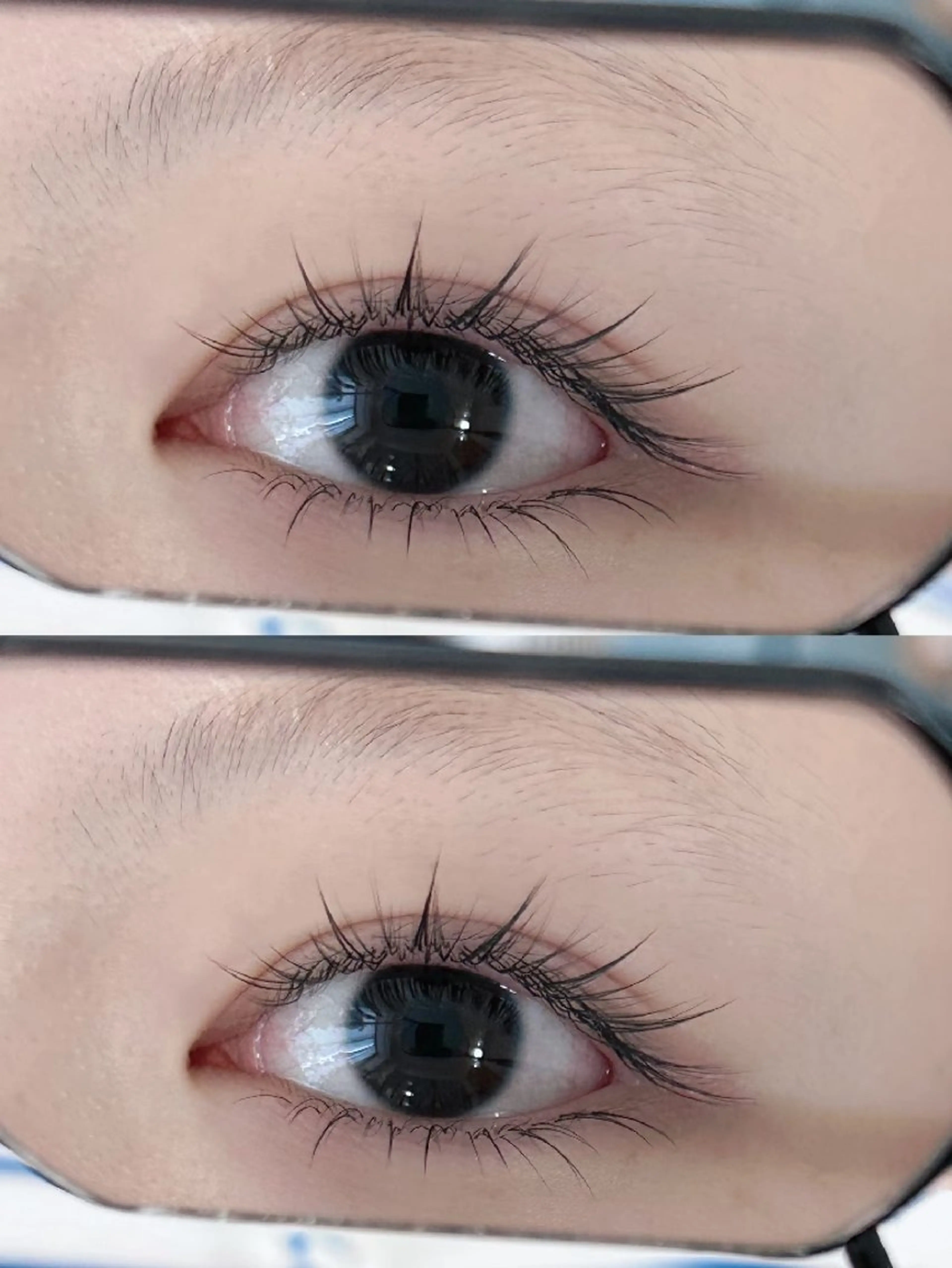 ワンホンボリュームラッシュ100束の写真