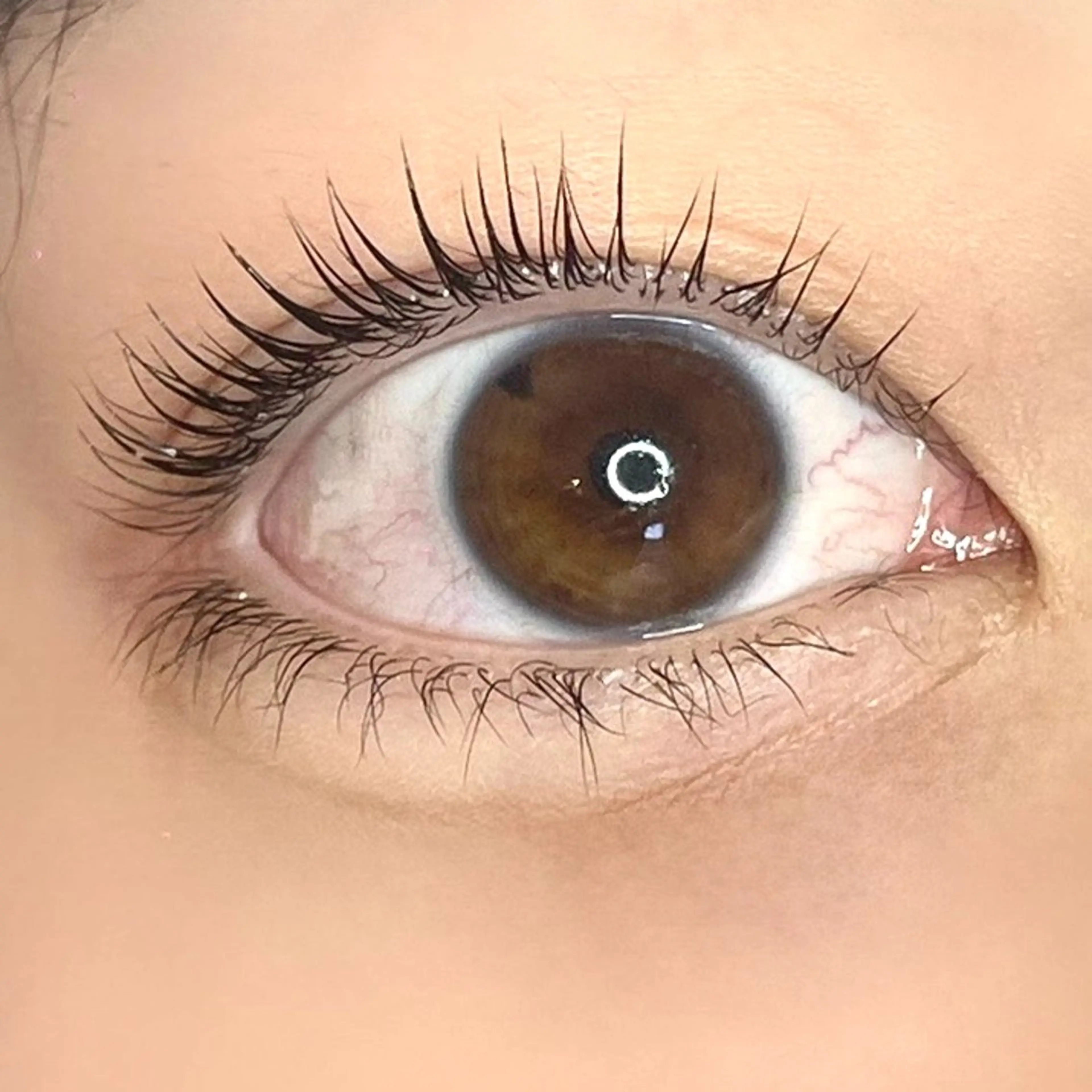 マツエク・マツパ メゾンドシャルム NISHIKAWAのマツエク・マツパデザイン