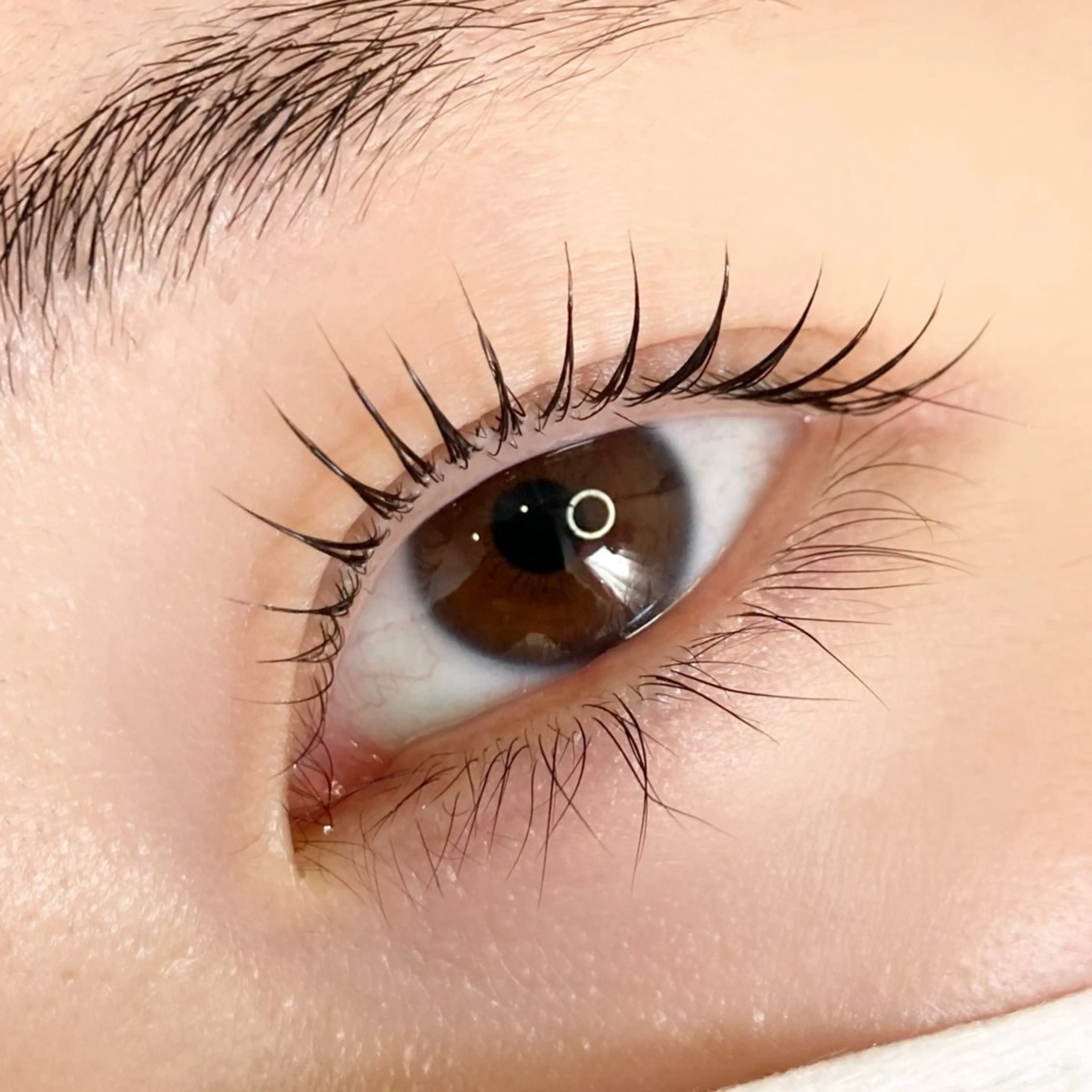 マツエク・マツパ シュシュジプ井上 夏海のマツエク・マツパデザイン