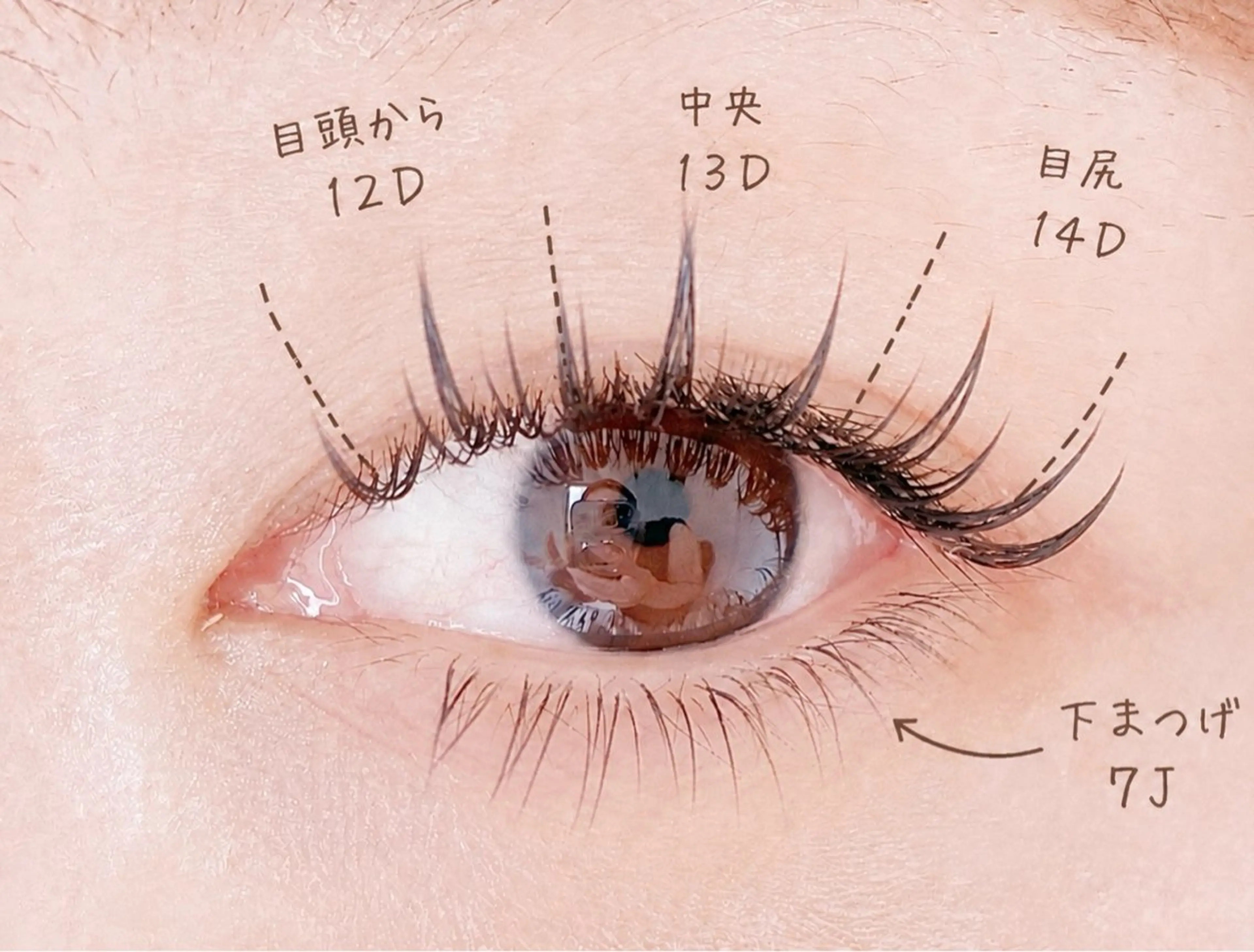 マツエク・マツパ 下まつげエクステ マツエク eyelash/ Coaのマツエク・マツパデザイン