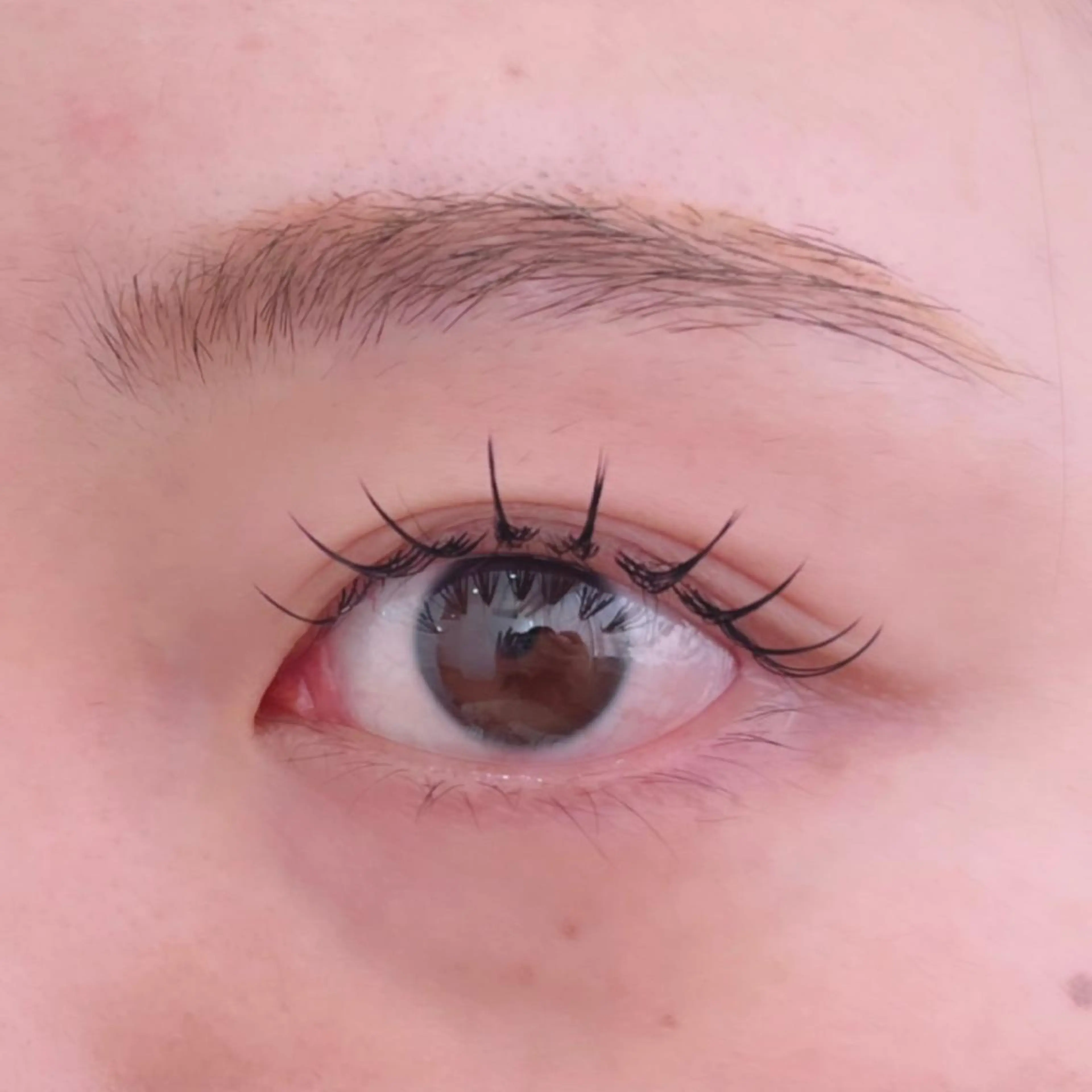 マツエク・マツパ フラットラッシュ 山脇🐋🤍 アンジェリカ錦糸町のマツエク・マツパデザイン