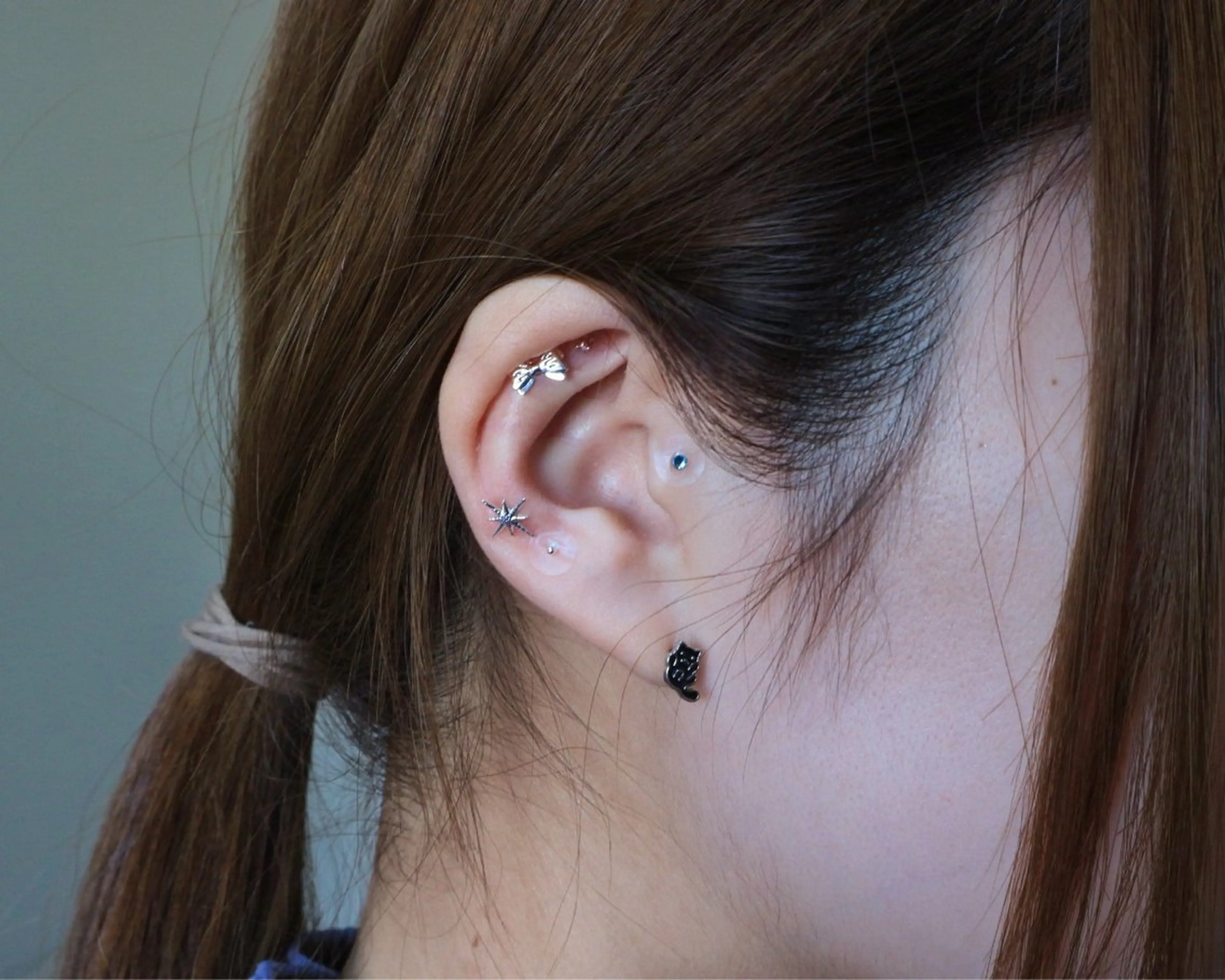 B.napus Nanohaのその他イメージ