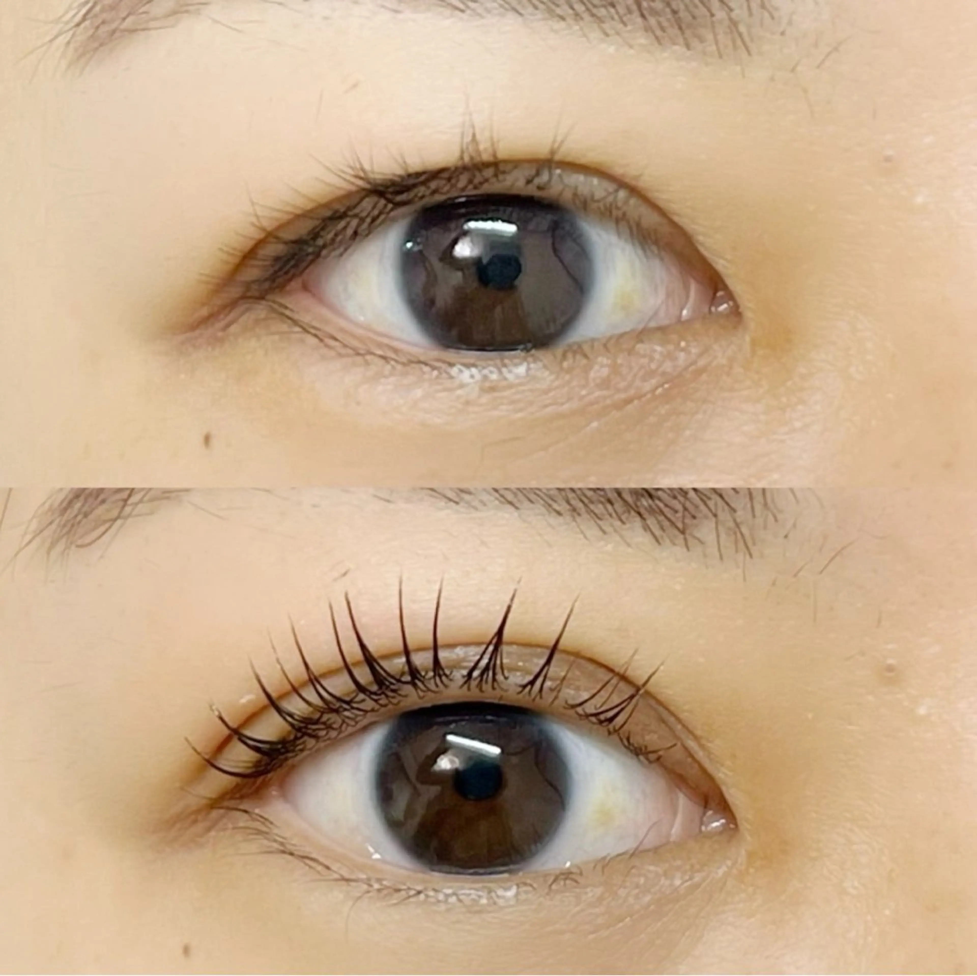 マツエク・マツパ マツパ 🌙eyelash kirari🌙のマツエク・マツパデザイン