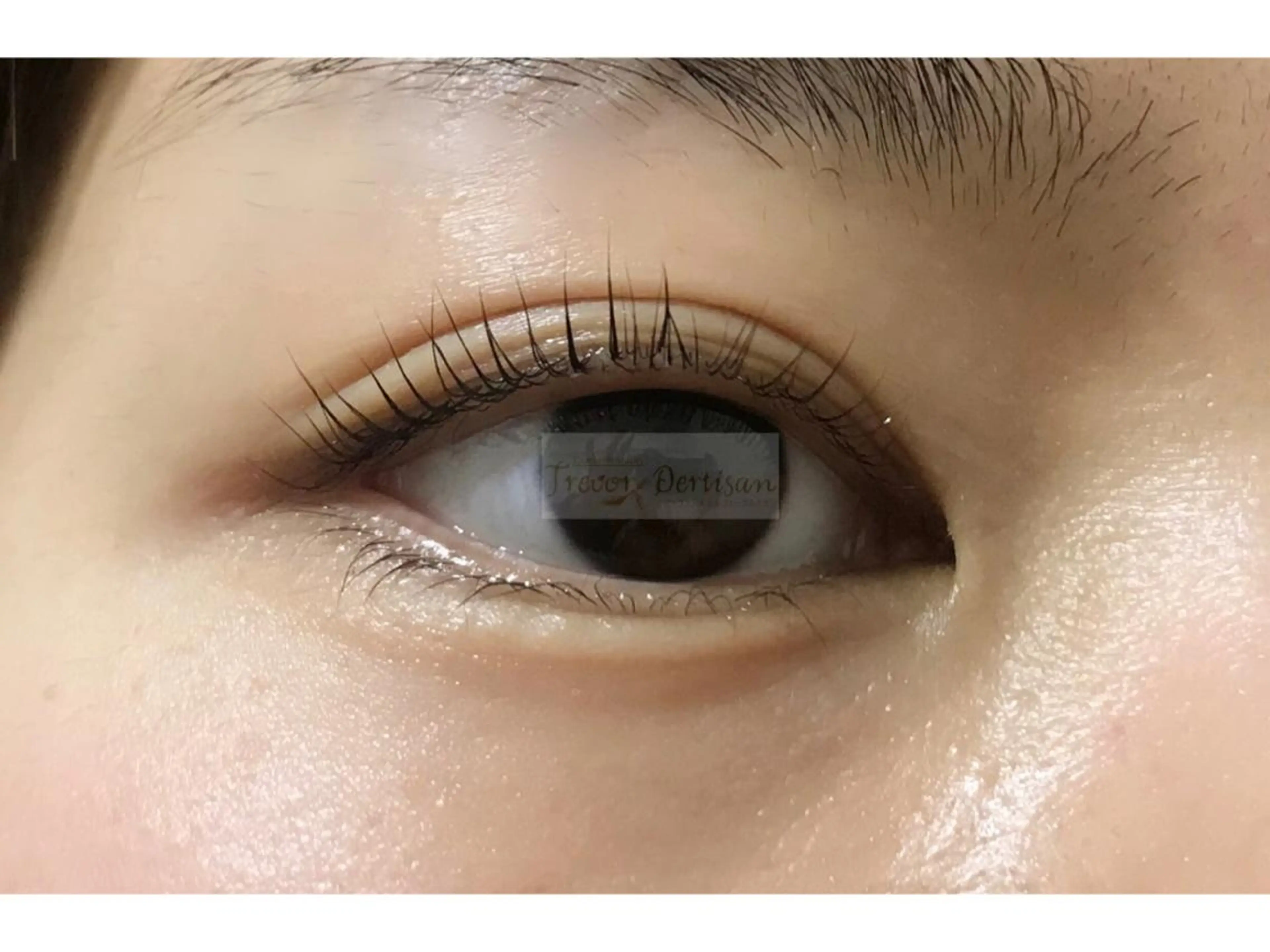 マツエク・マツパ トレヴァーデルチザン inuiのマツエク・マツパデザイン