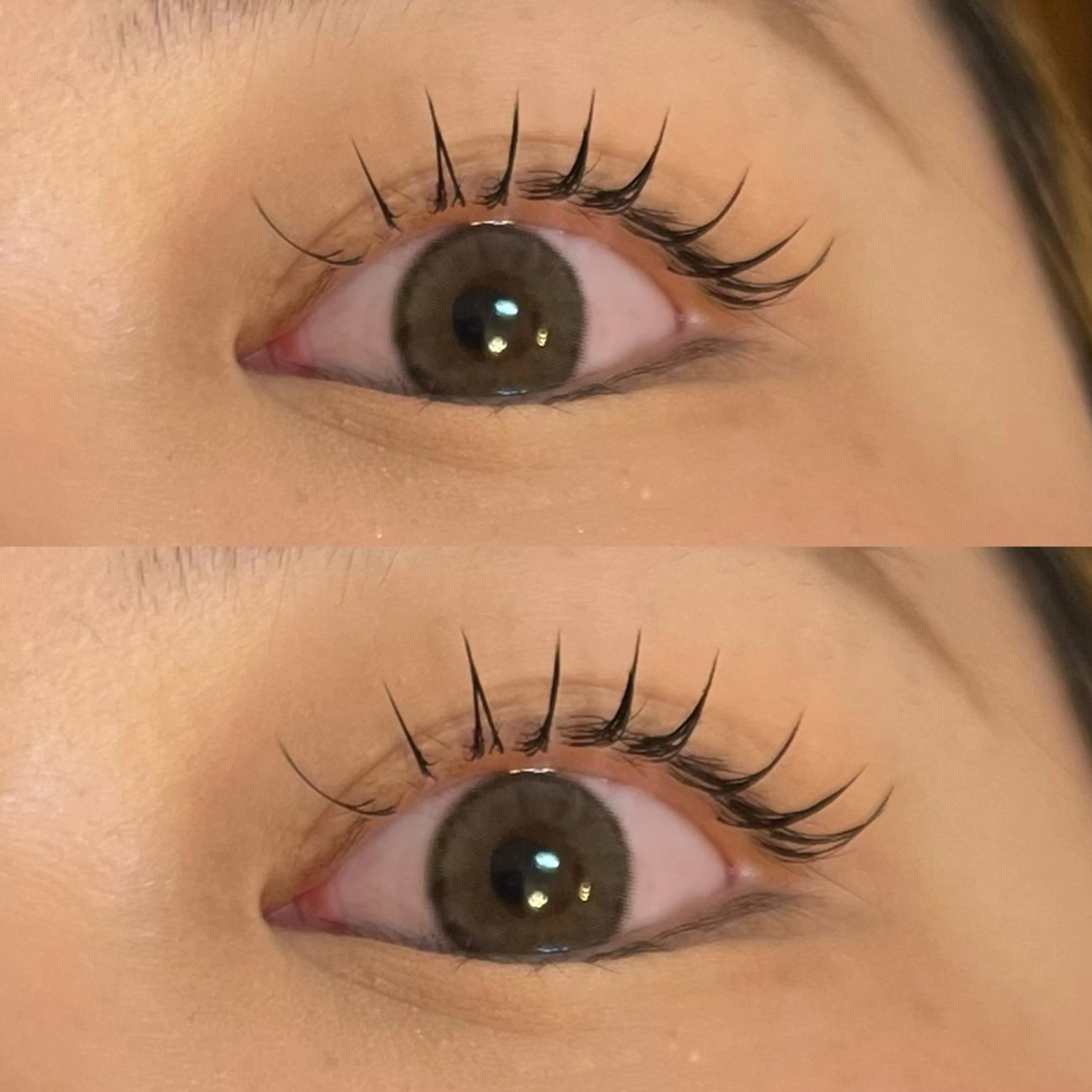 マツエク・マツパ Cカール フラットラッシュ ナチュラル マツエク 🌿ayaki🌿 en Reveのマツエク・マツパデザイン