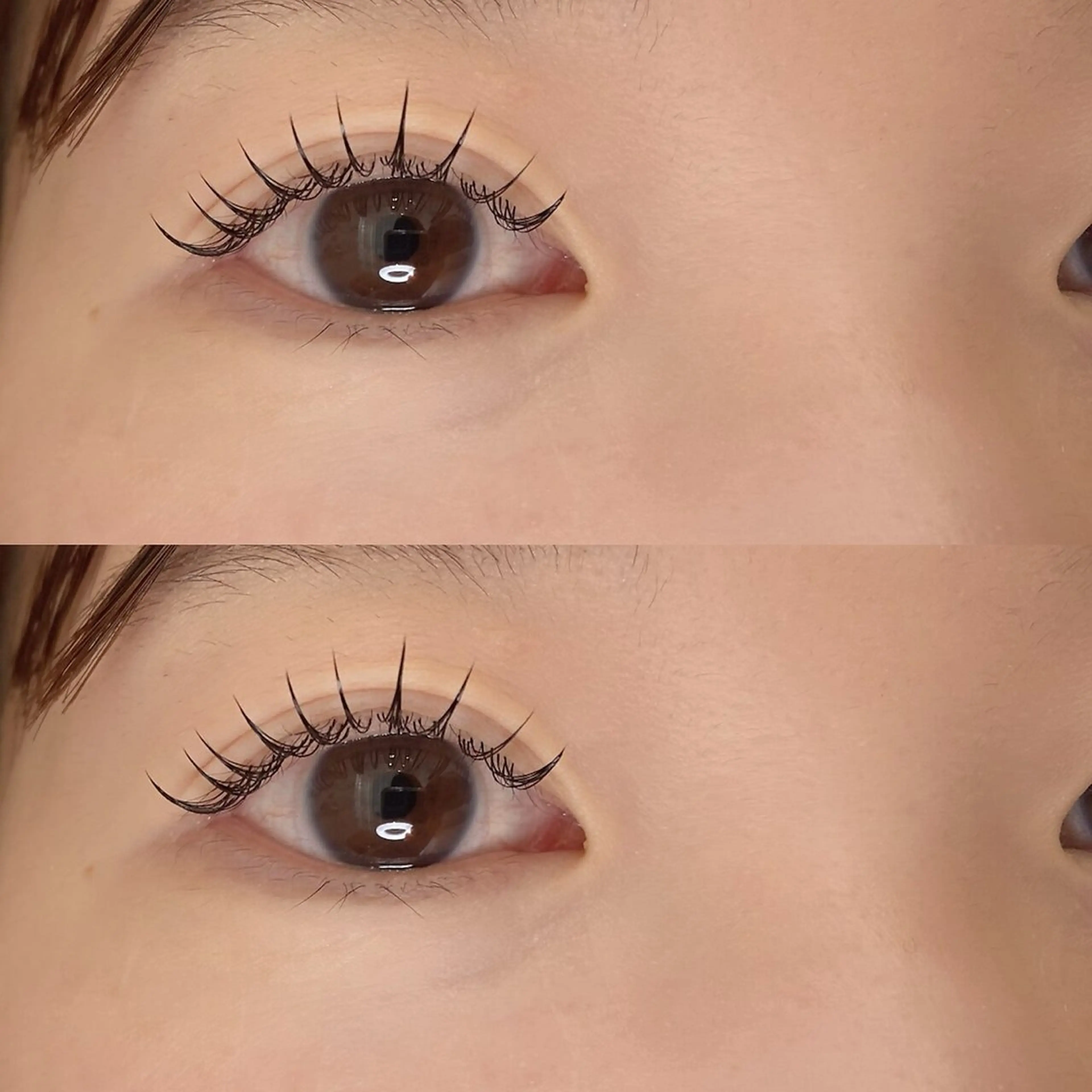 【🌻初回オフ無料꒰⍢꒱】マツエク120本👀の写真