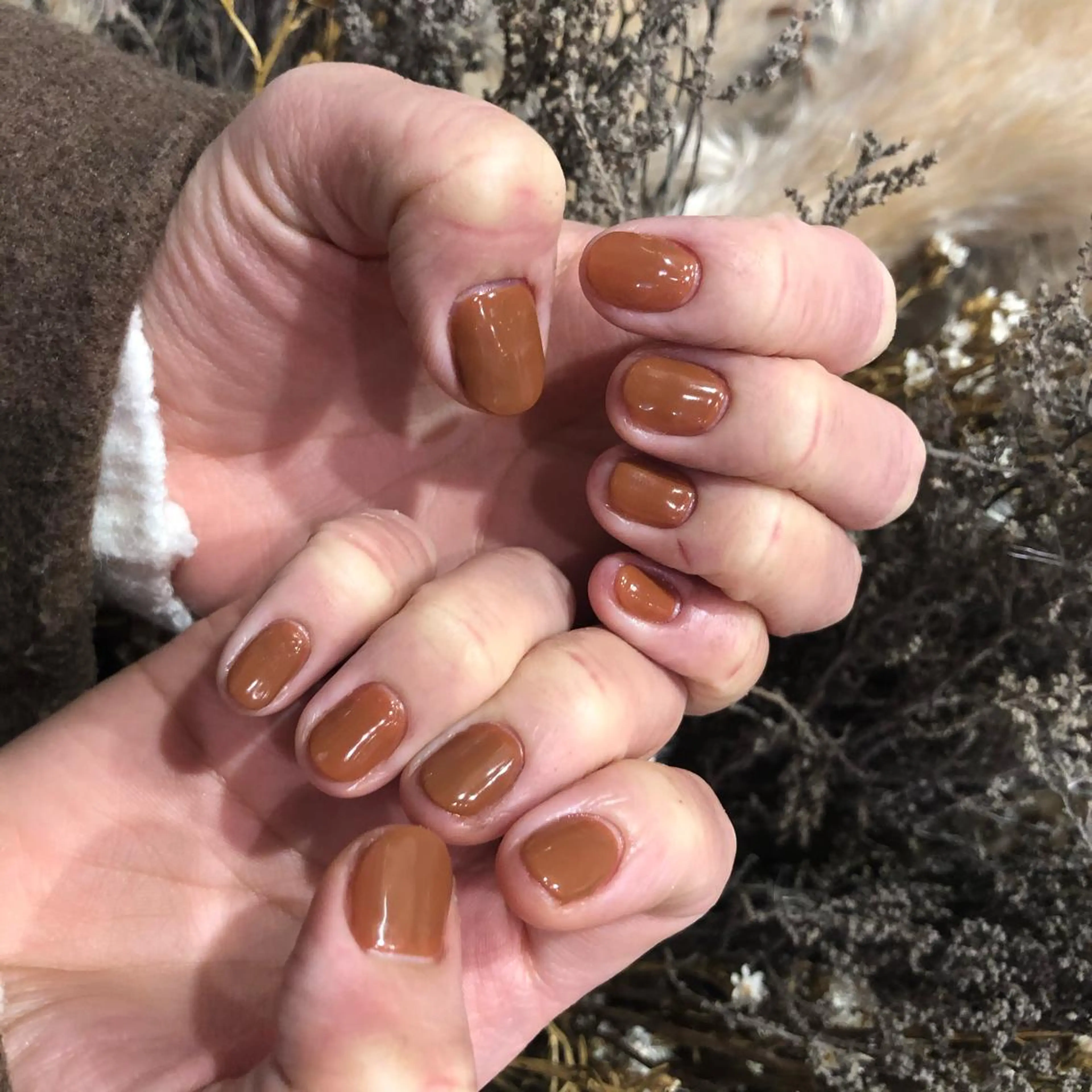 ネイル ブラウン Classy: Mizukiのネイルデザイン