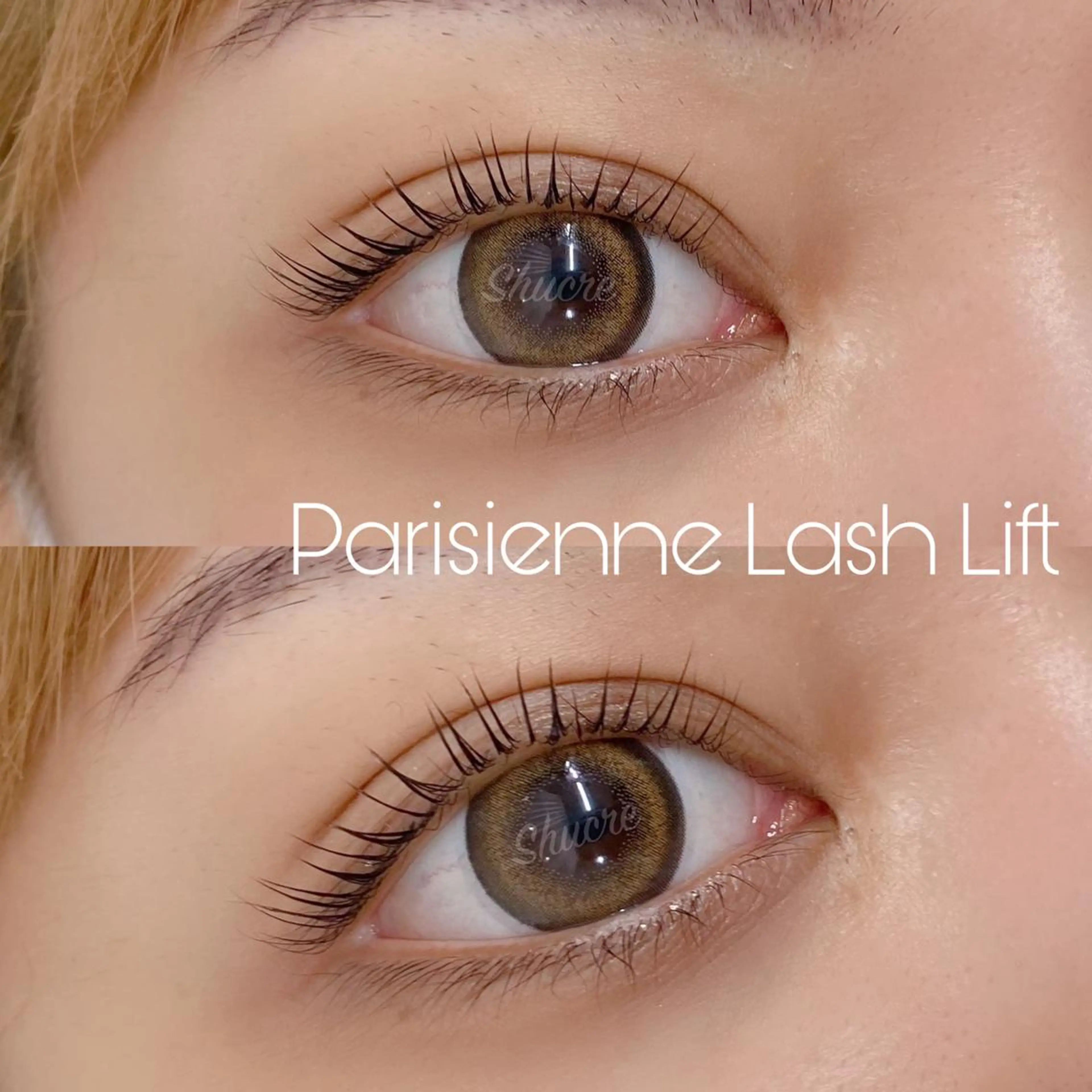 マツエク・マツパ Shucre栄店🤍 Rikaのマツエク・マツパデザイン