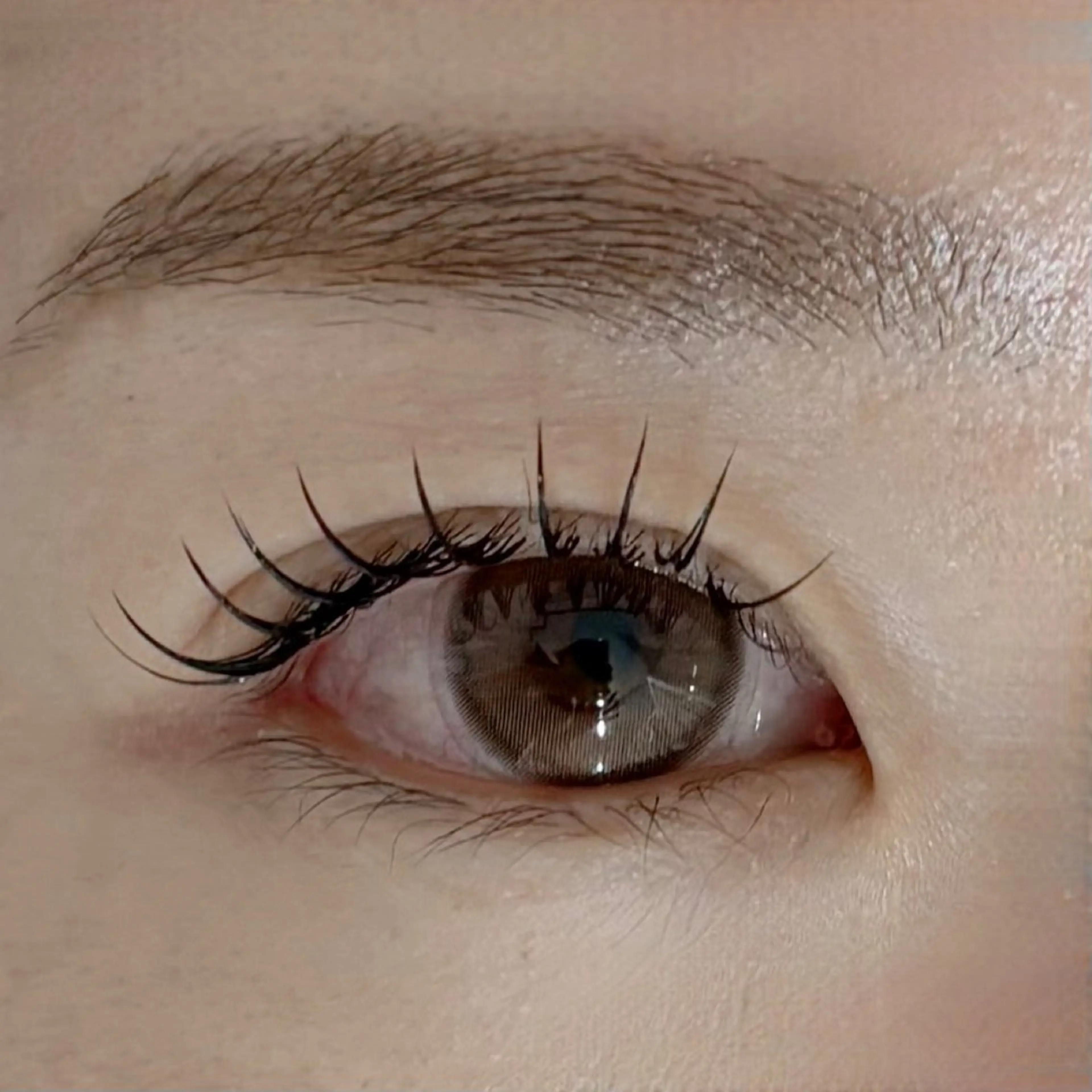 マツエク・マツパ 🫧SATOMI 草加駅5分メンズ眉毛の眉毛・アイブロウイメージ