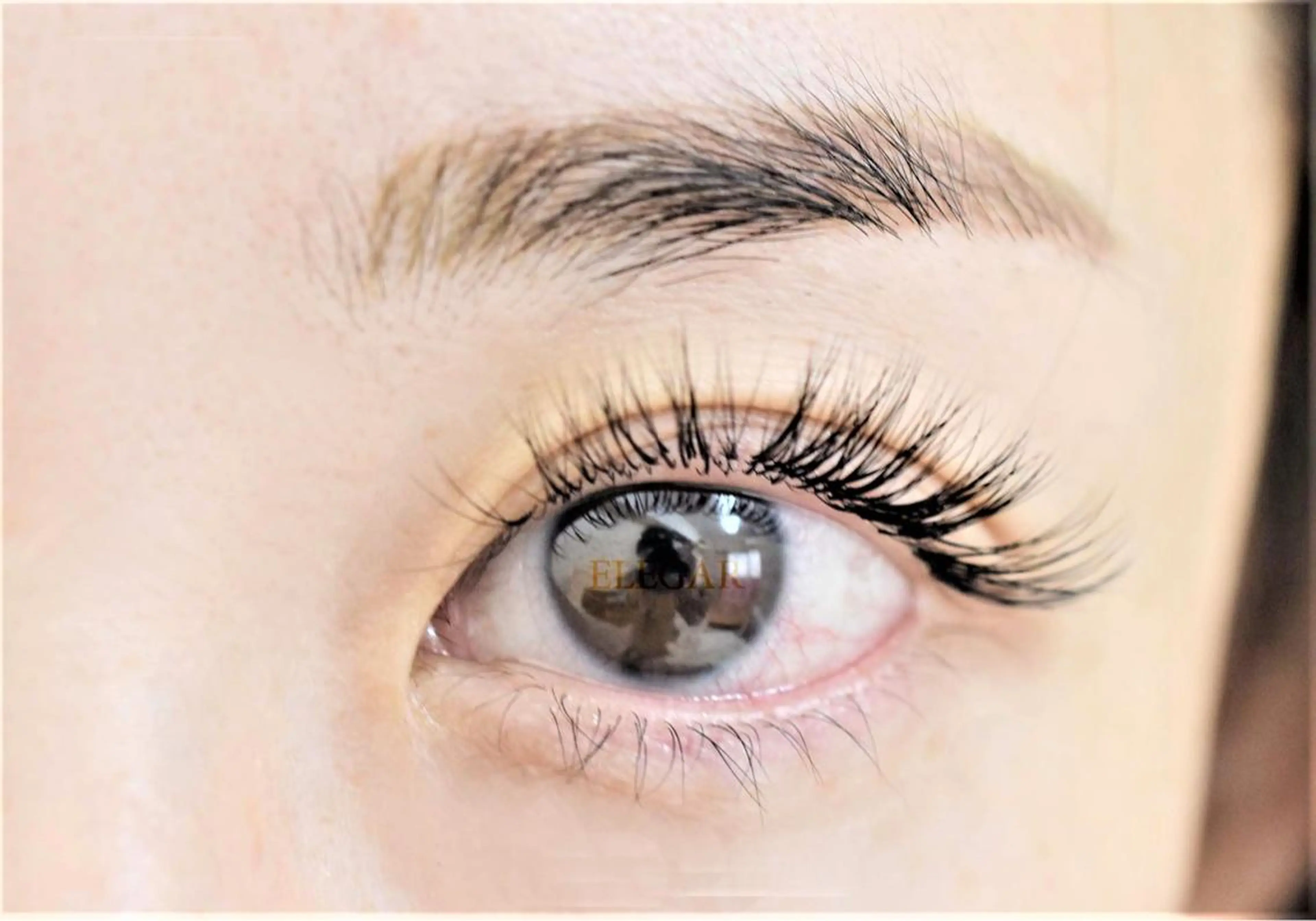 マツエク・マツパ マツエク ELEGAR 武蔵小杉のマツエク・マツパデザイン