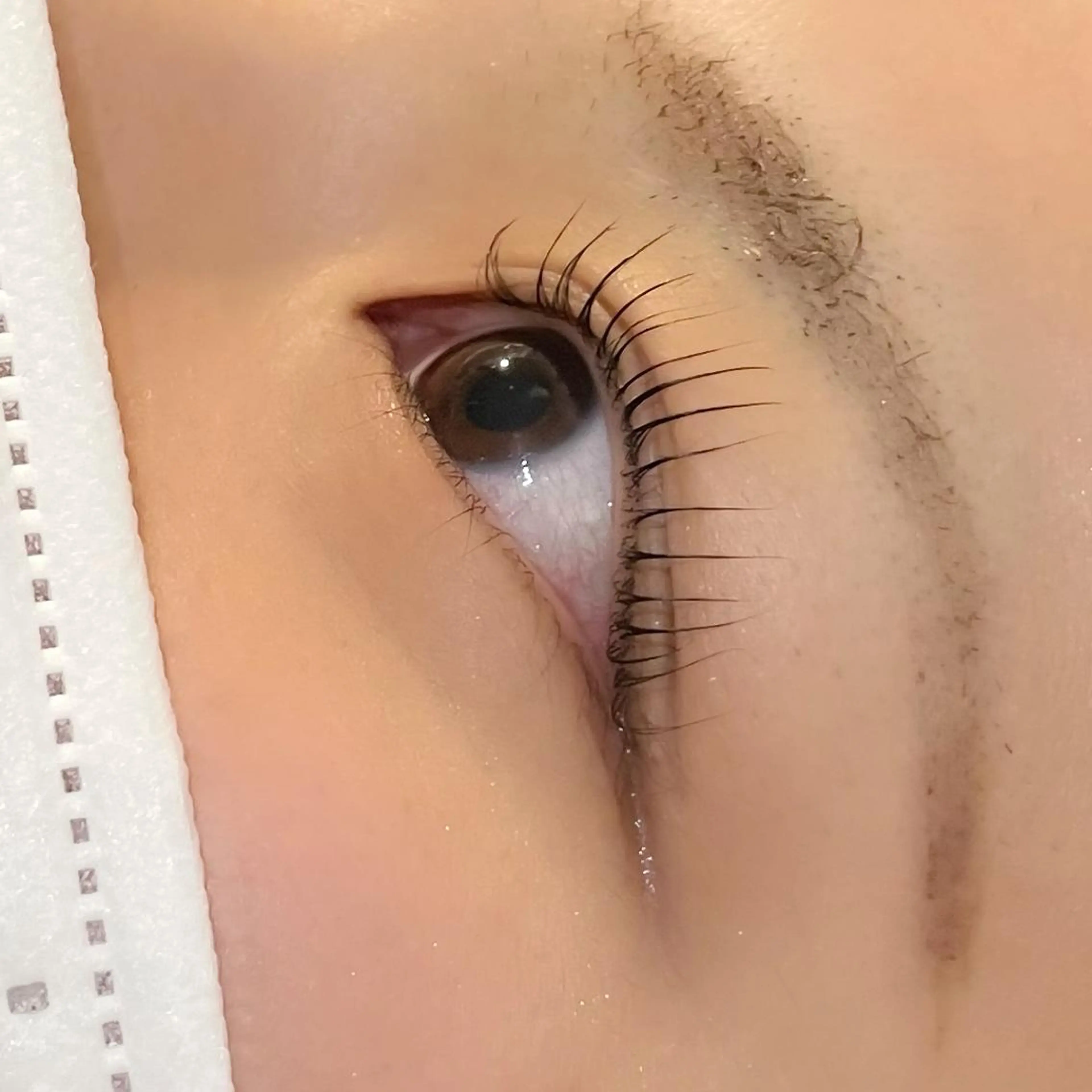 マツエク・マツパ マホ🐾 peep 蟹江店のマツエク・マツパデザイン