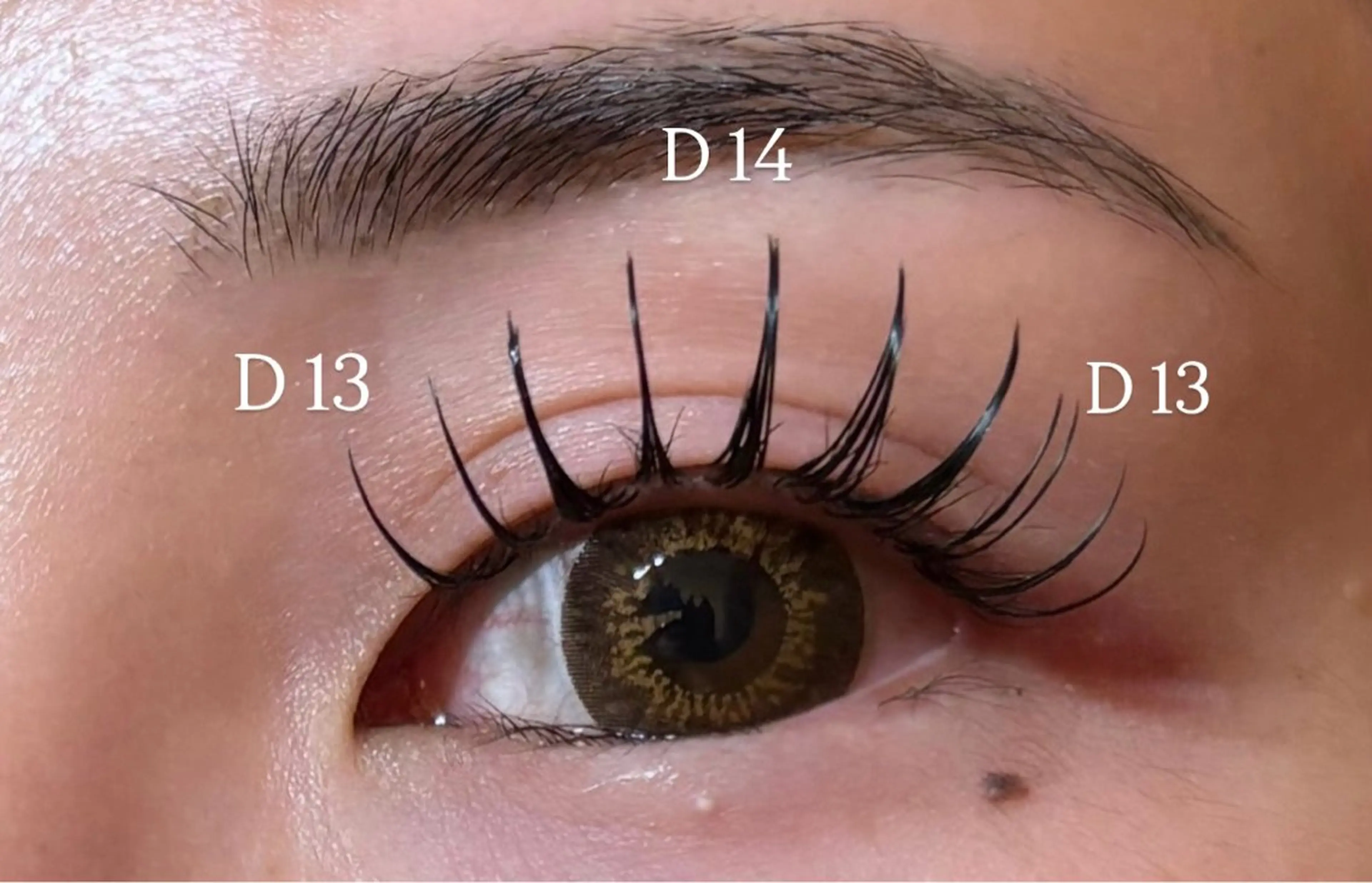 マツエク・マツパ マツエク princess 森 碧海のマツエク・マツパデザイン