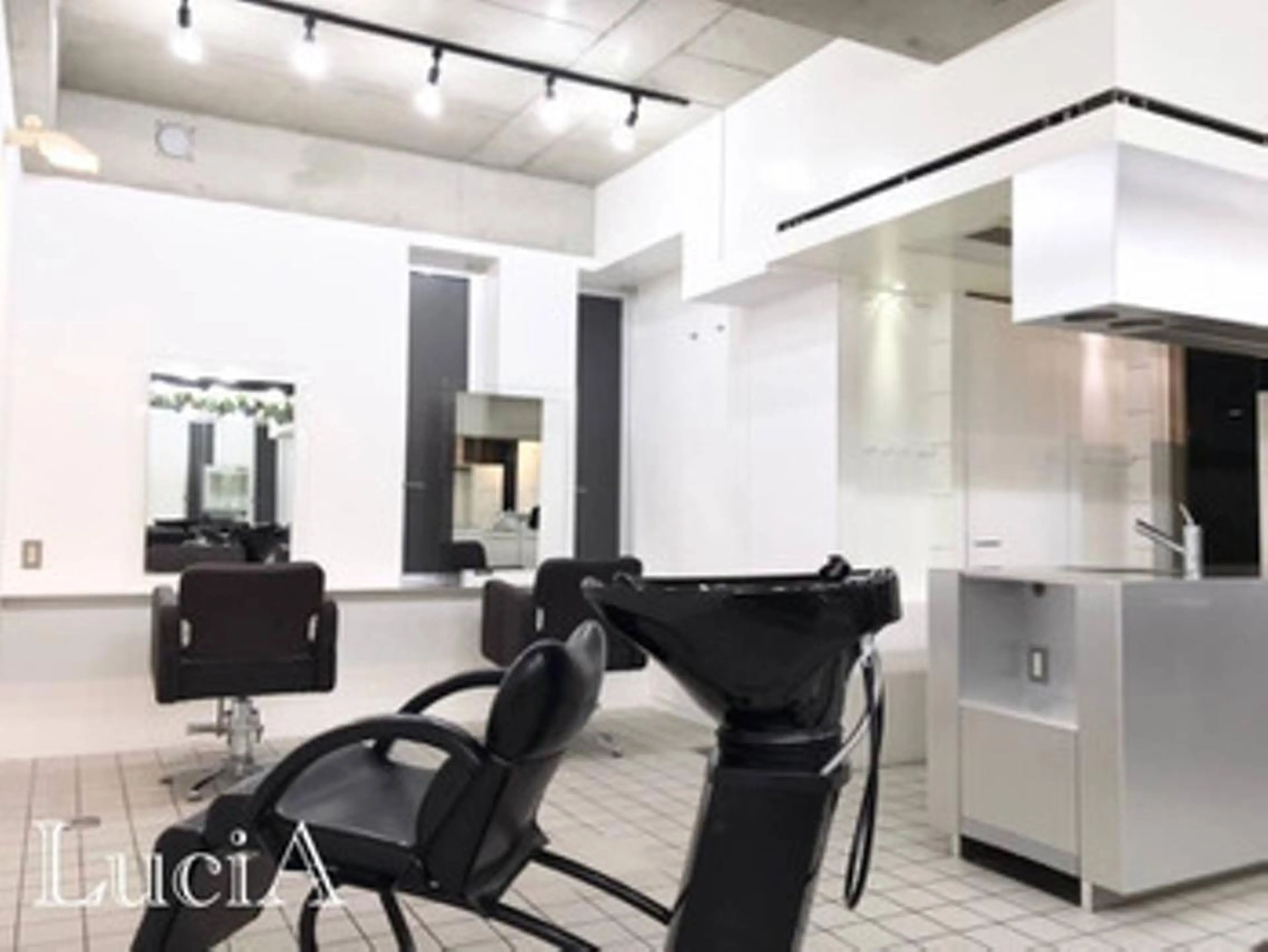 ロング カラー LuciA エクステカラーのヘアスタイル