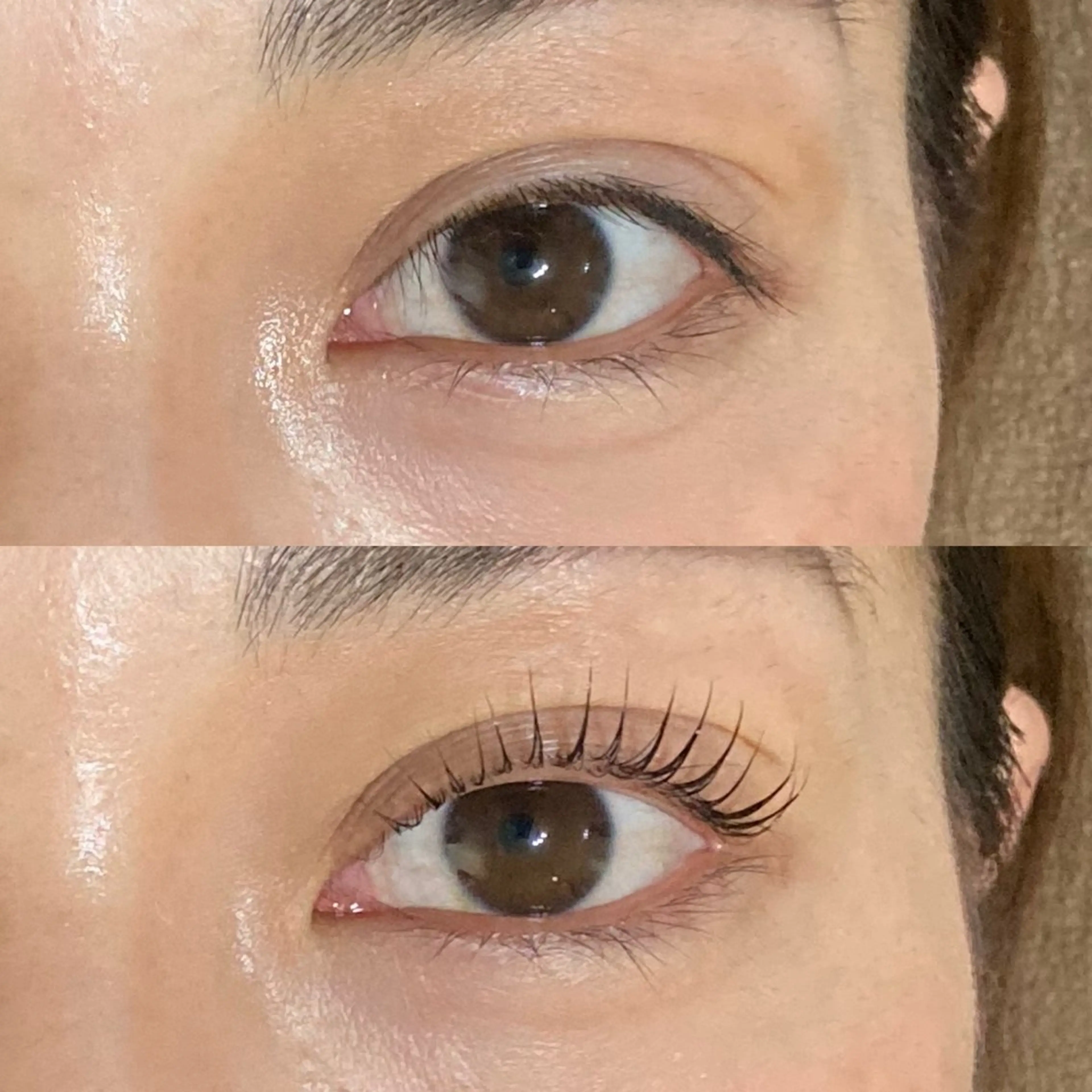 【エクオフ無し】まつ毛パーマ（上のみ） コーティングTR付　※マツエク併用不可の写真