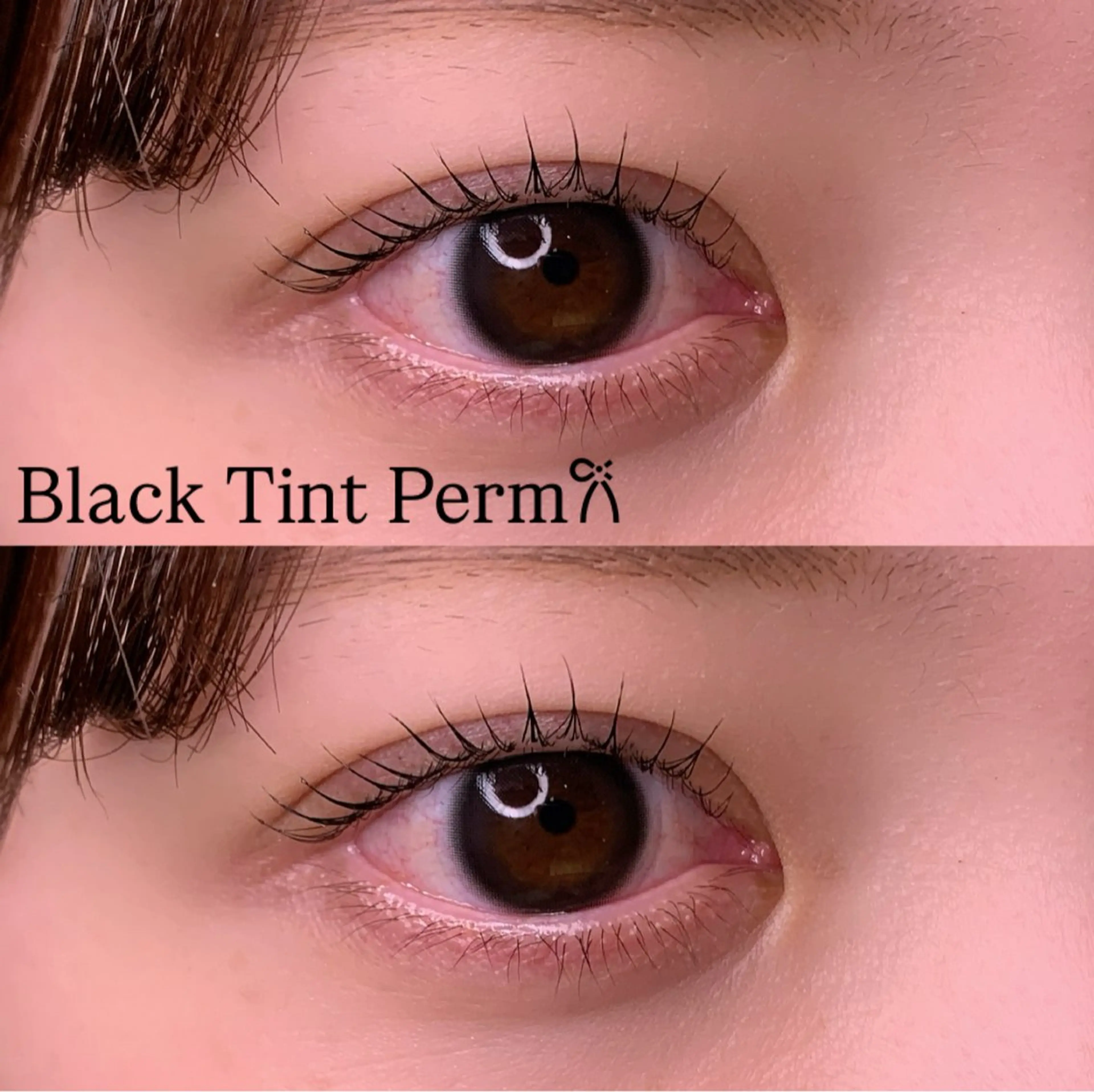 マツエク・マツパ マツパ Ayumi.pro 🍆N《4階》のマツエク・マツパデザイン