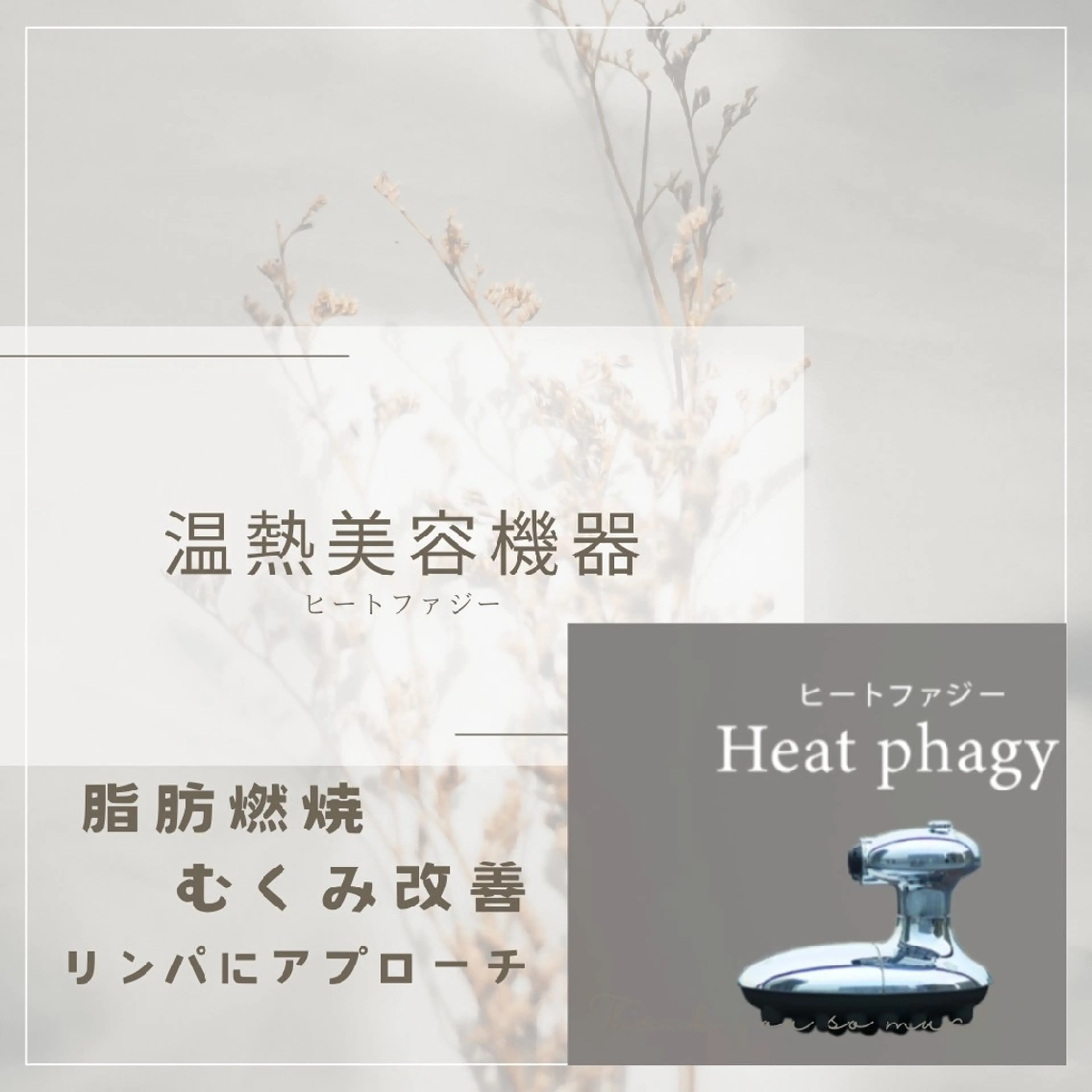 全身☆温熱ヒートファジー✨[むくみ改善、免疫力アップ]足湯•ヘッドマッサージ付き80分の写真