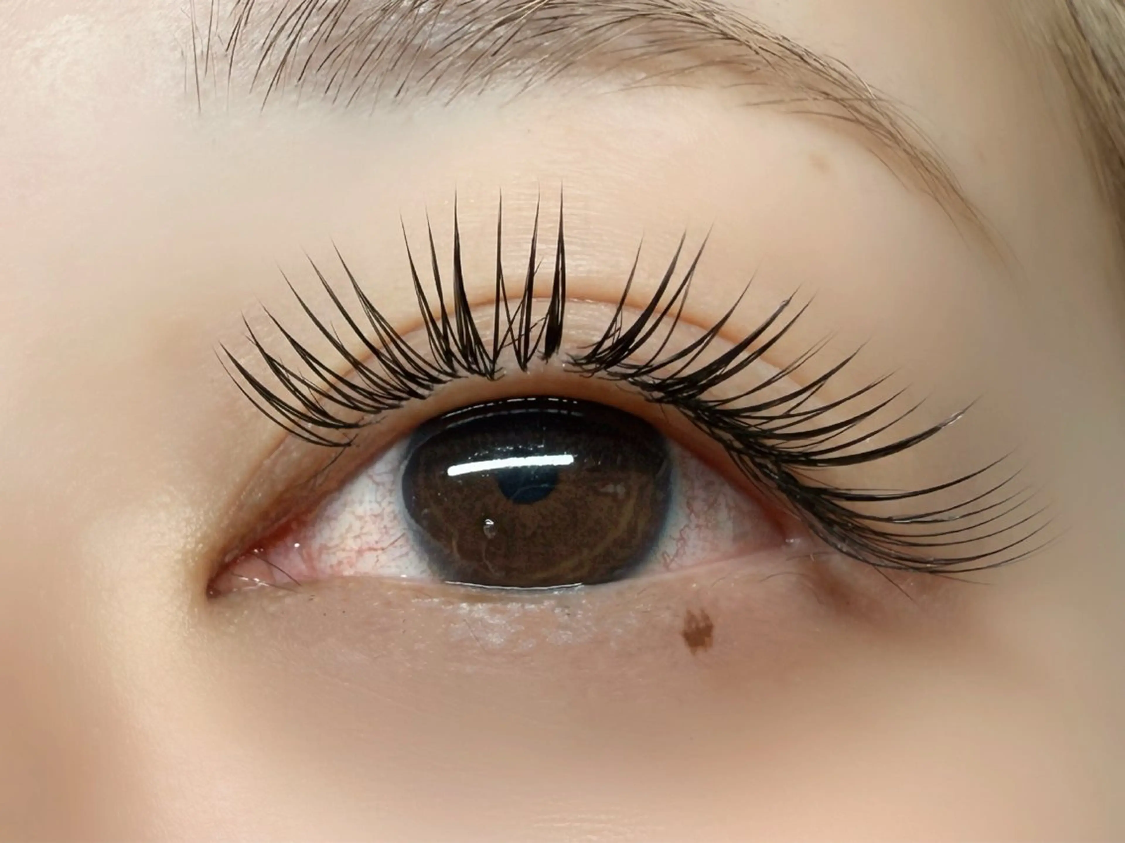 マツエク・マツパ Pucca Fukuokaのマツエク・マツパデザイン