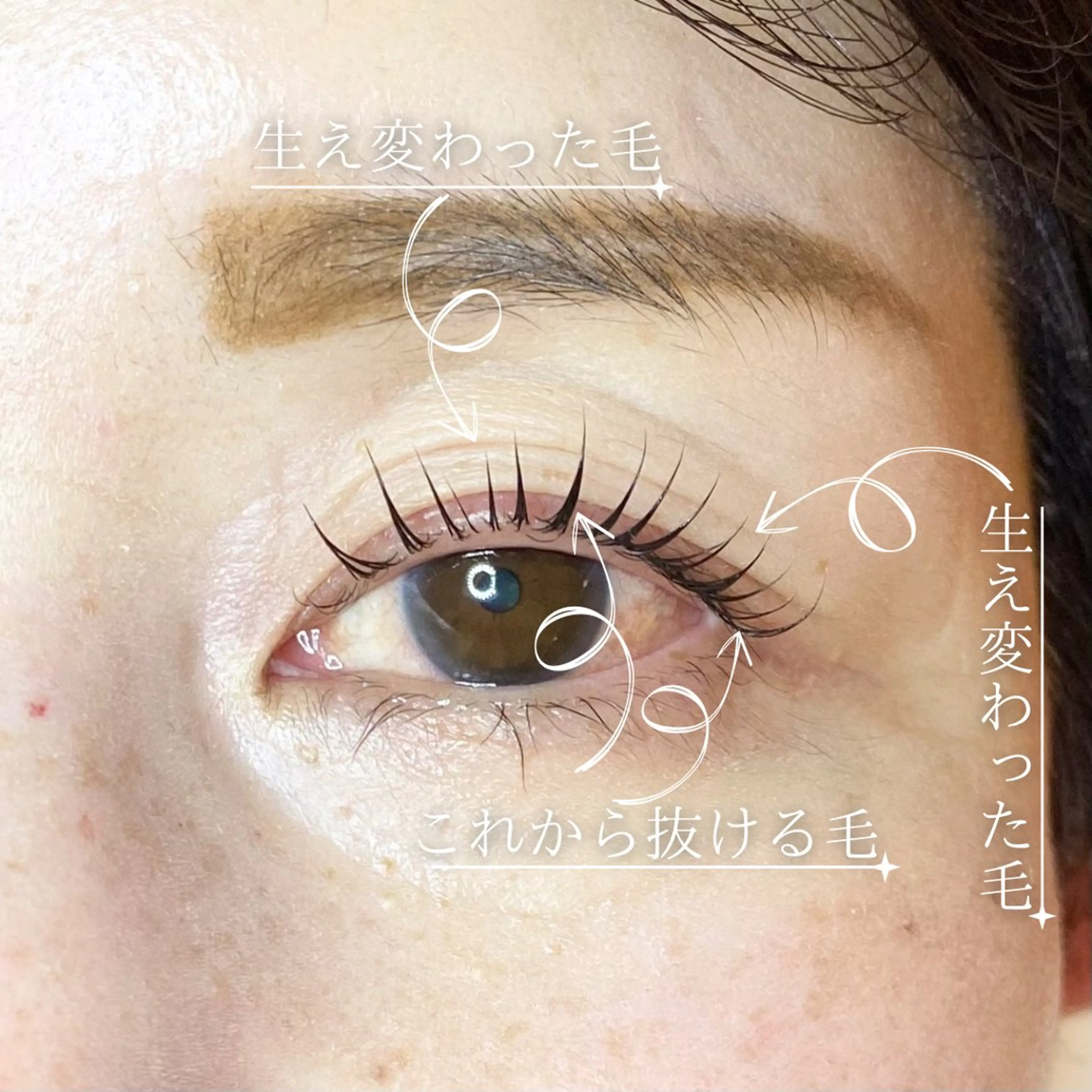 マツエク・マツパ eyelash lienのマツエク・マツパデザイン