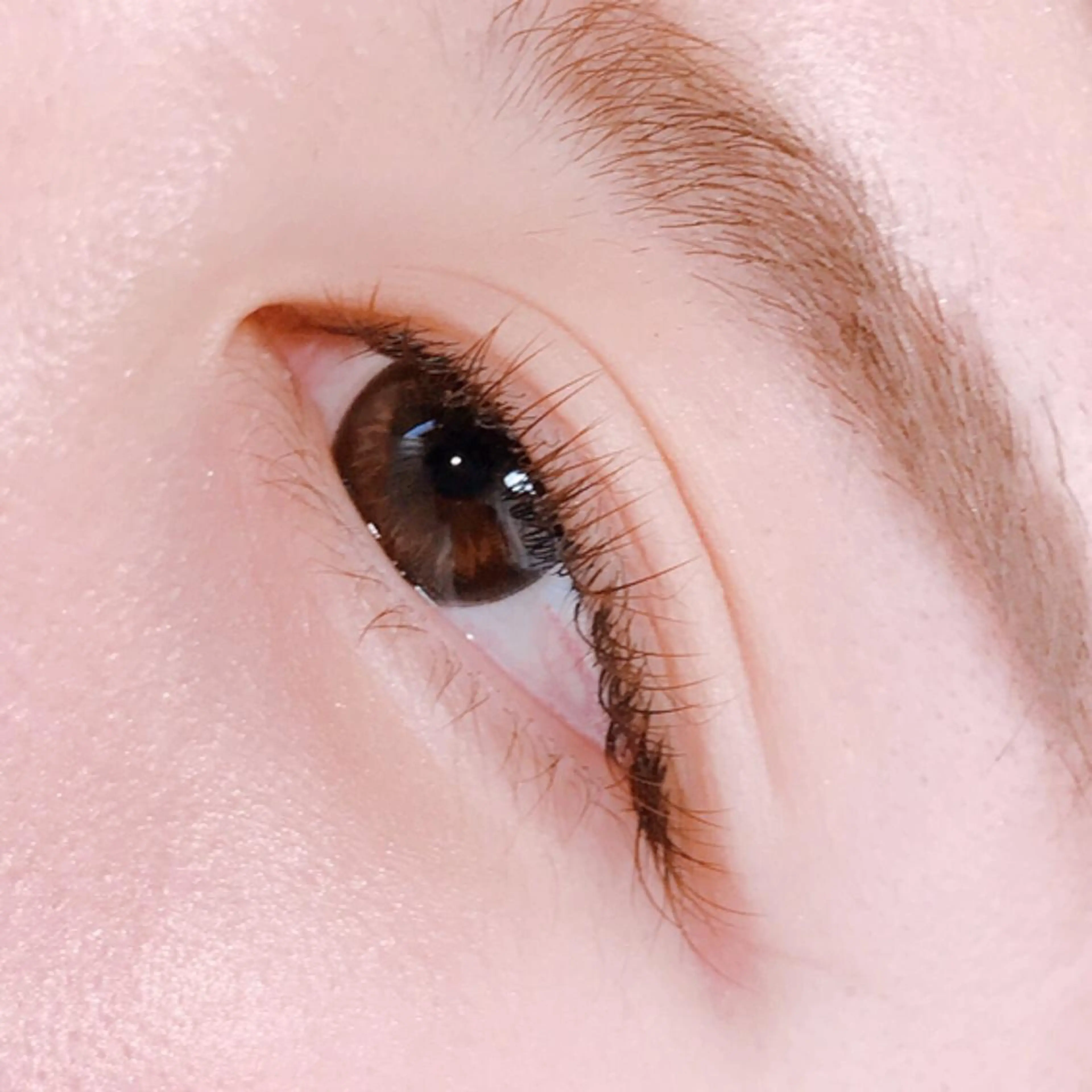 マツエク・マツパ カラーマツエク おとなびと maiのマツエク・マツパデザイン