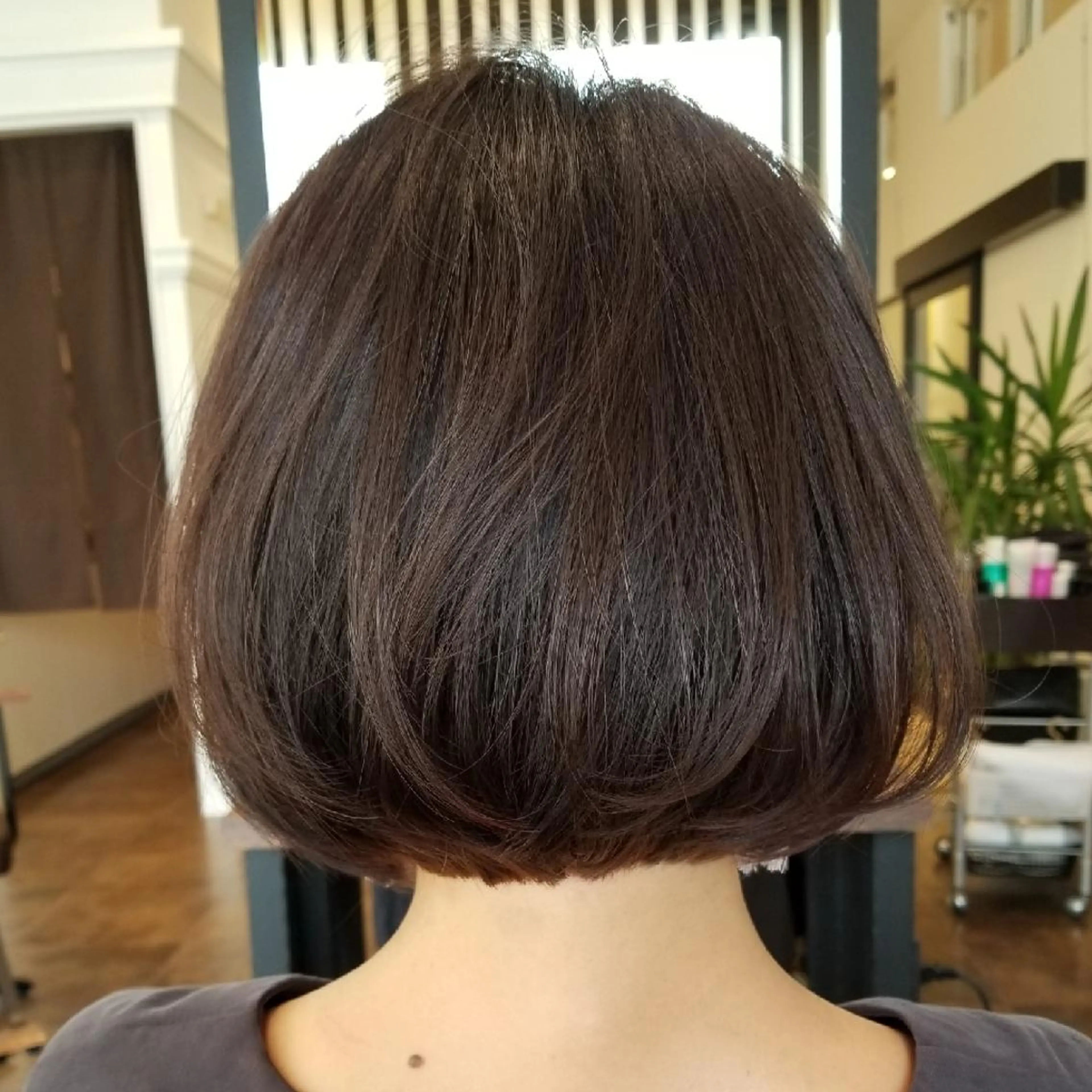 ショート カラー ボブ トリートメント LOAOL  mei所属・松浦 正春のヘアスタイル