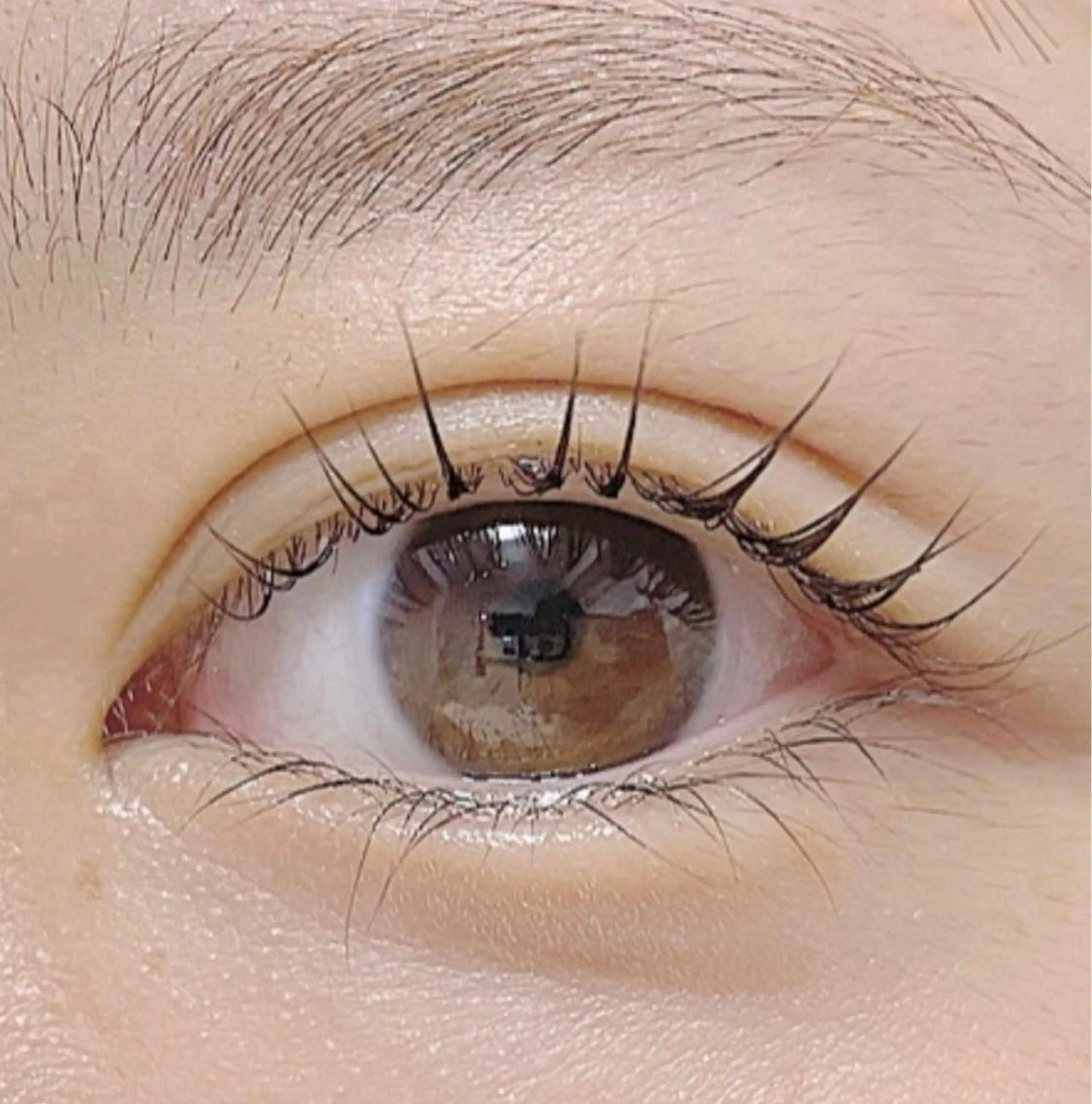 マツエク・マツパ パリジェンヌラッシュリフト まつげパーマ 一重×まつ毛パーマ Anela 博多/春吉のマツエク・マツパデザイン